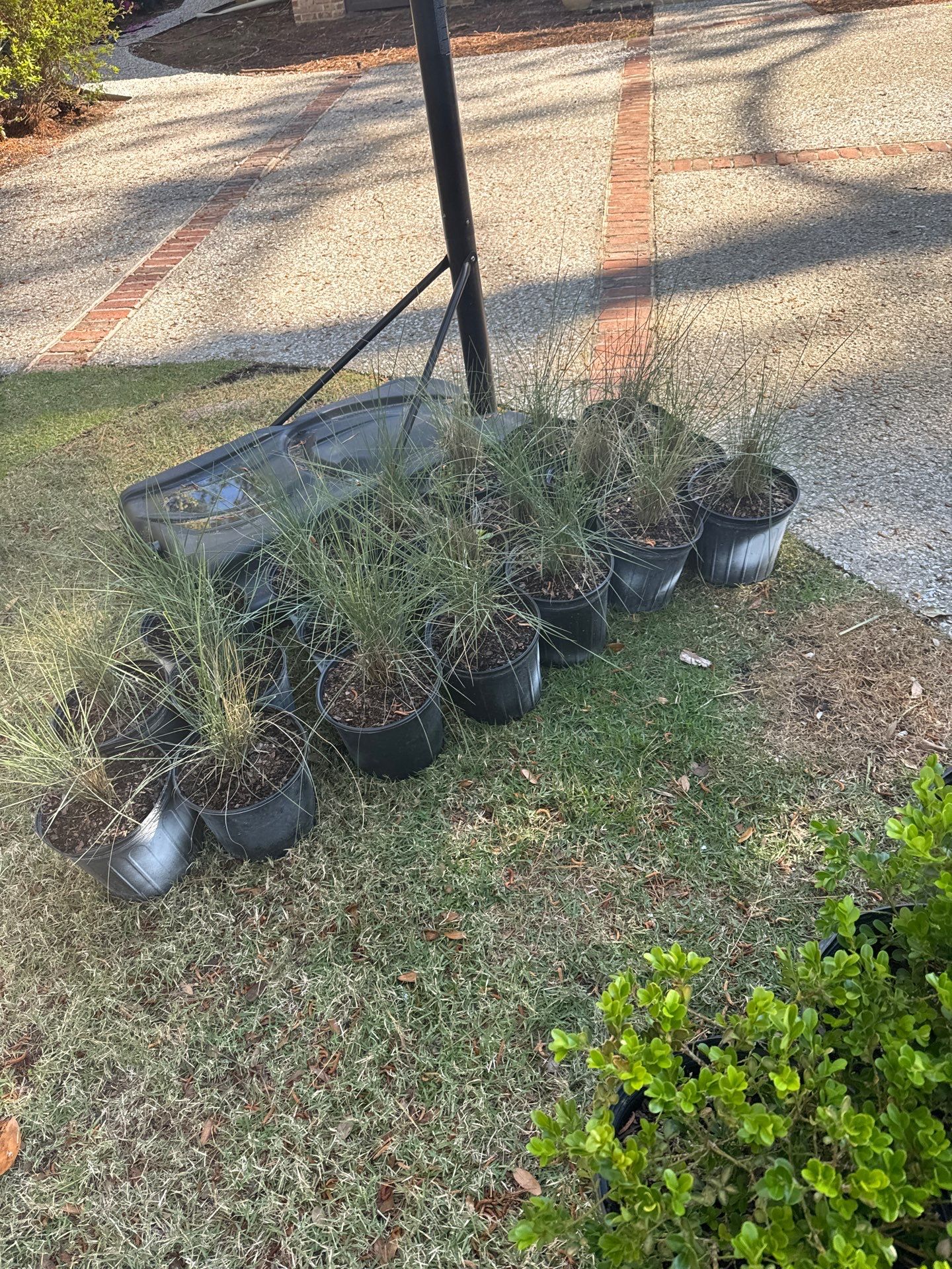 Comprehensive Landscape Design and Custom Hardscape Installation in Bluffton by Lowcountry Scapes, LLC
