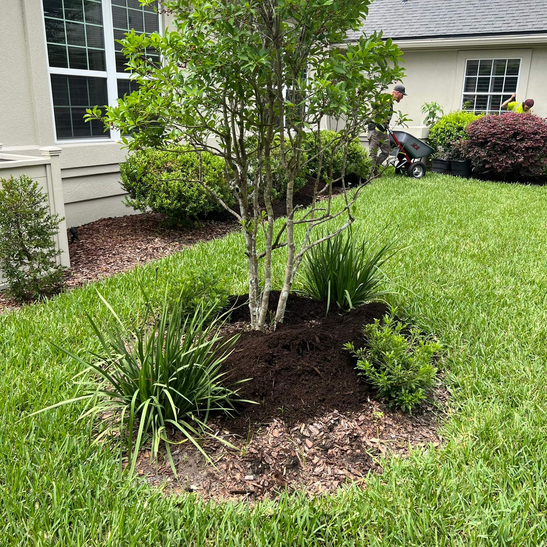 Plant & Mulch Installation | Deerwood Country Club by ProGreen Services