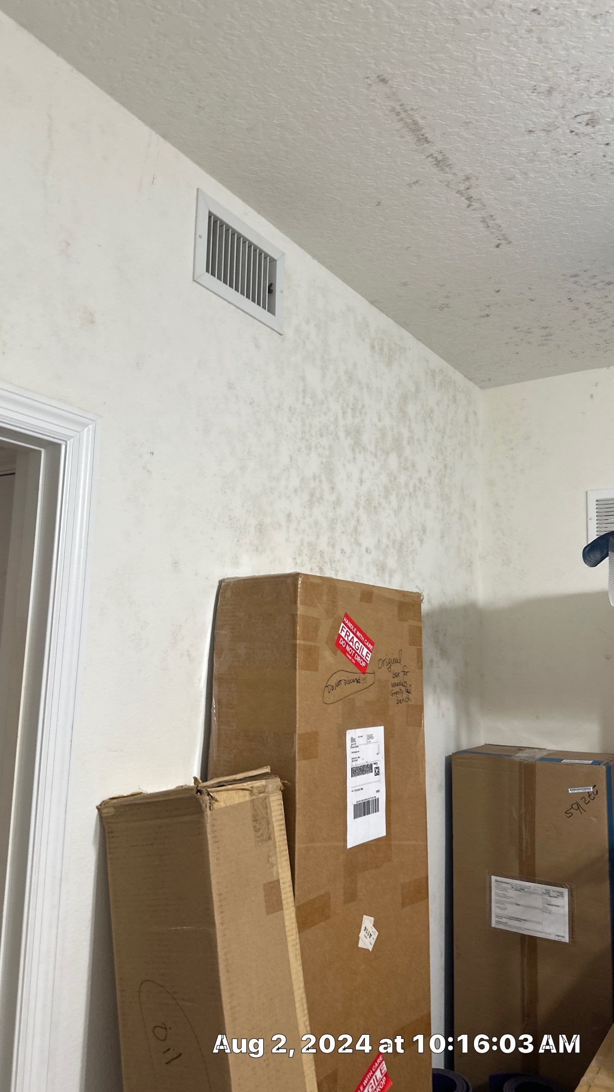 Mold Assessment using IR Camera, Moisture Meter, Air Cassette samples and Tape lifts by Building performance Solutions LLC