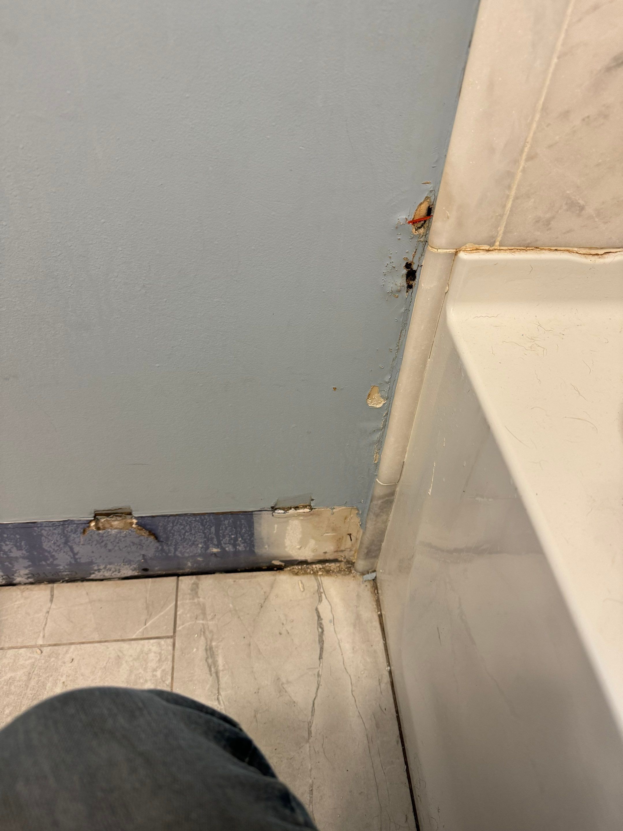 Bathroom Mold Remediation by Home Guarantee, LLC