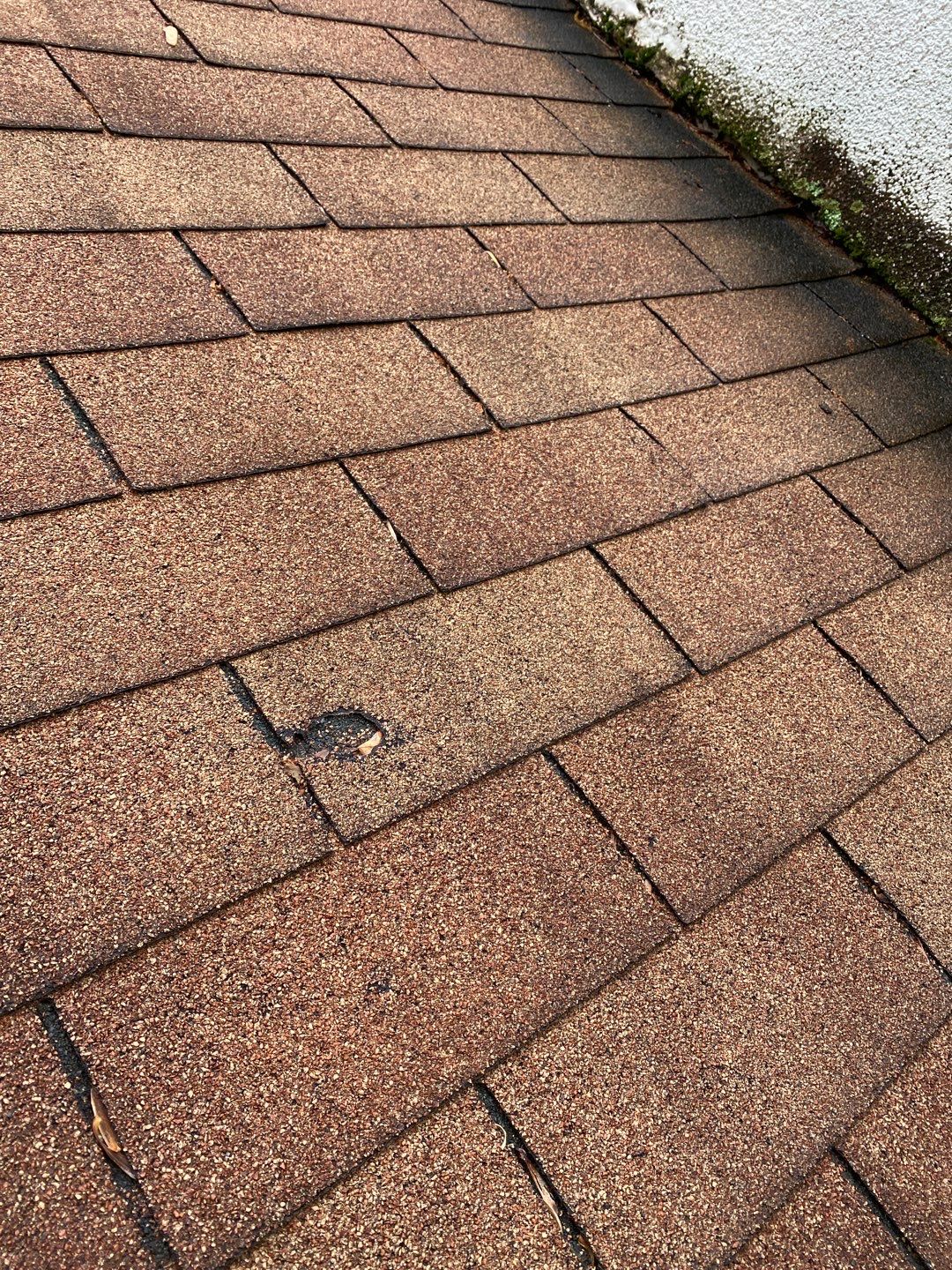 Arlington: CertainTeed Landmark Pro Designer Shingles in Max Def Shenandoah by RM Banning, Inc.