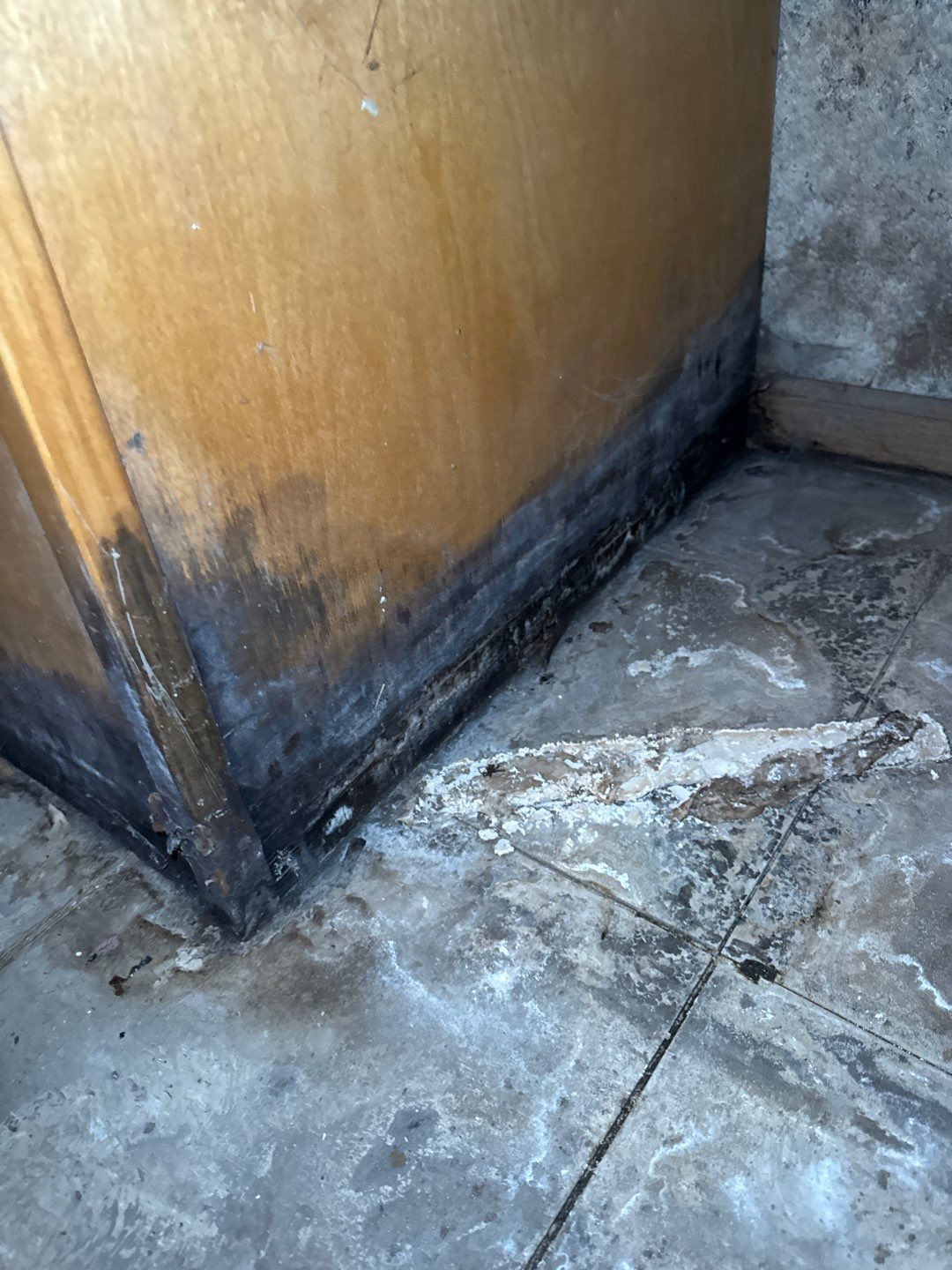 Water pipe break behind a wall by Chicagoland Water Medics