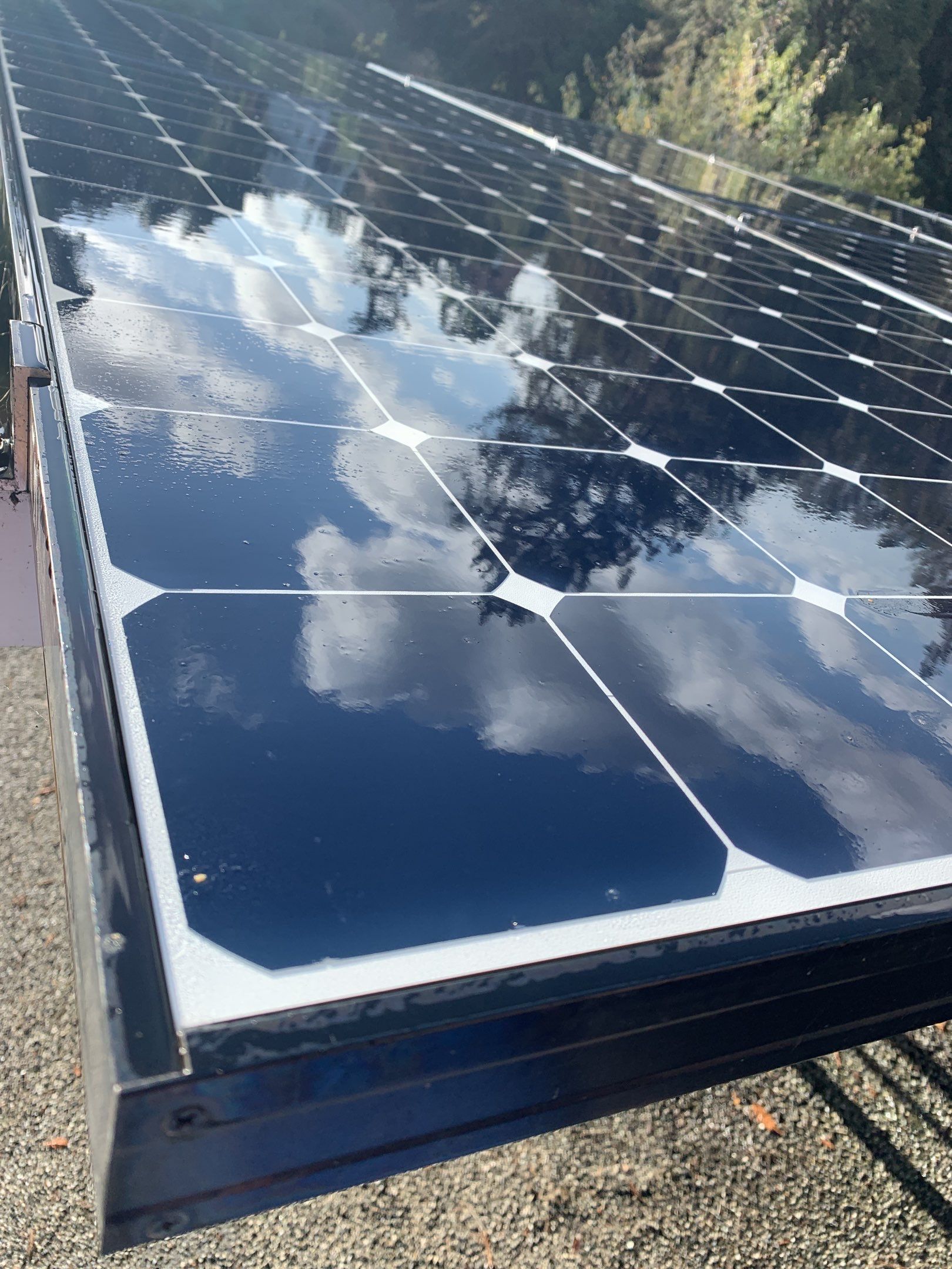 Elise Hurwitz’ Window Clean by SpotFree Window Cleaning