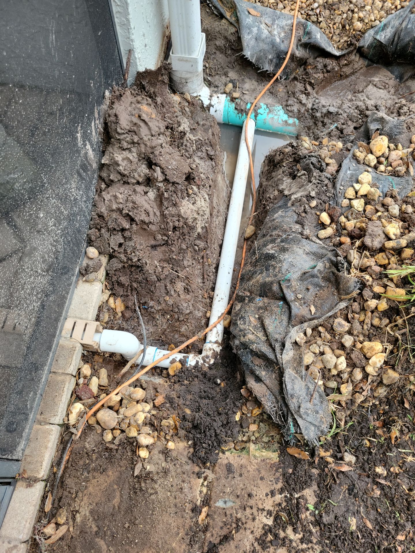 🌴 “Harbour Ridge Haven – A Tropical Revival by Alpha Zeta Landscapes” by Alpha Zeta Enterprises Inc