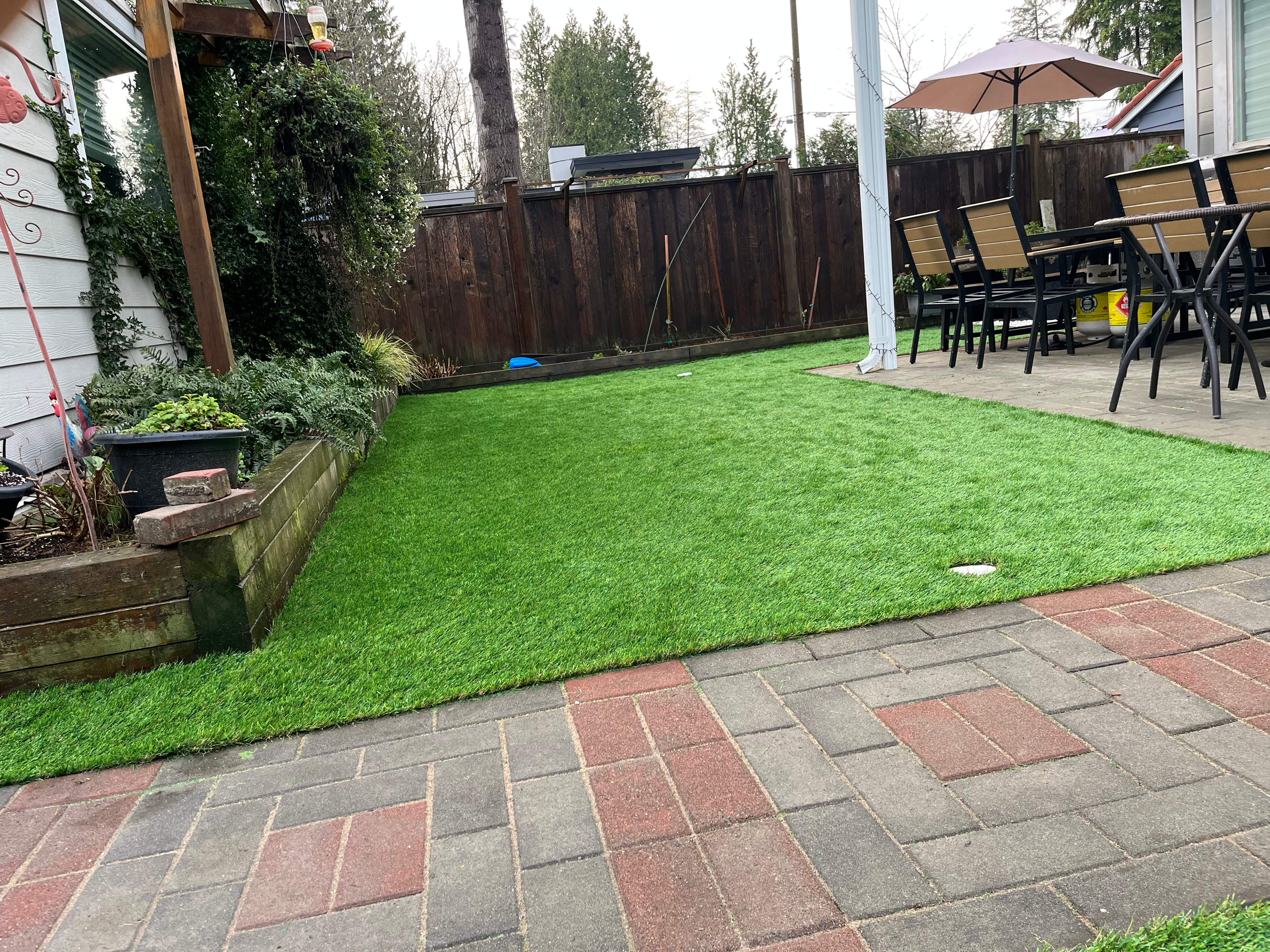Pet-Friendly Artificial Grass Installation in North Vancouver by YVR Construction Group