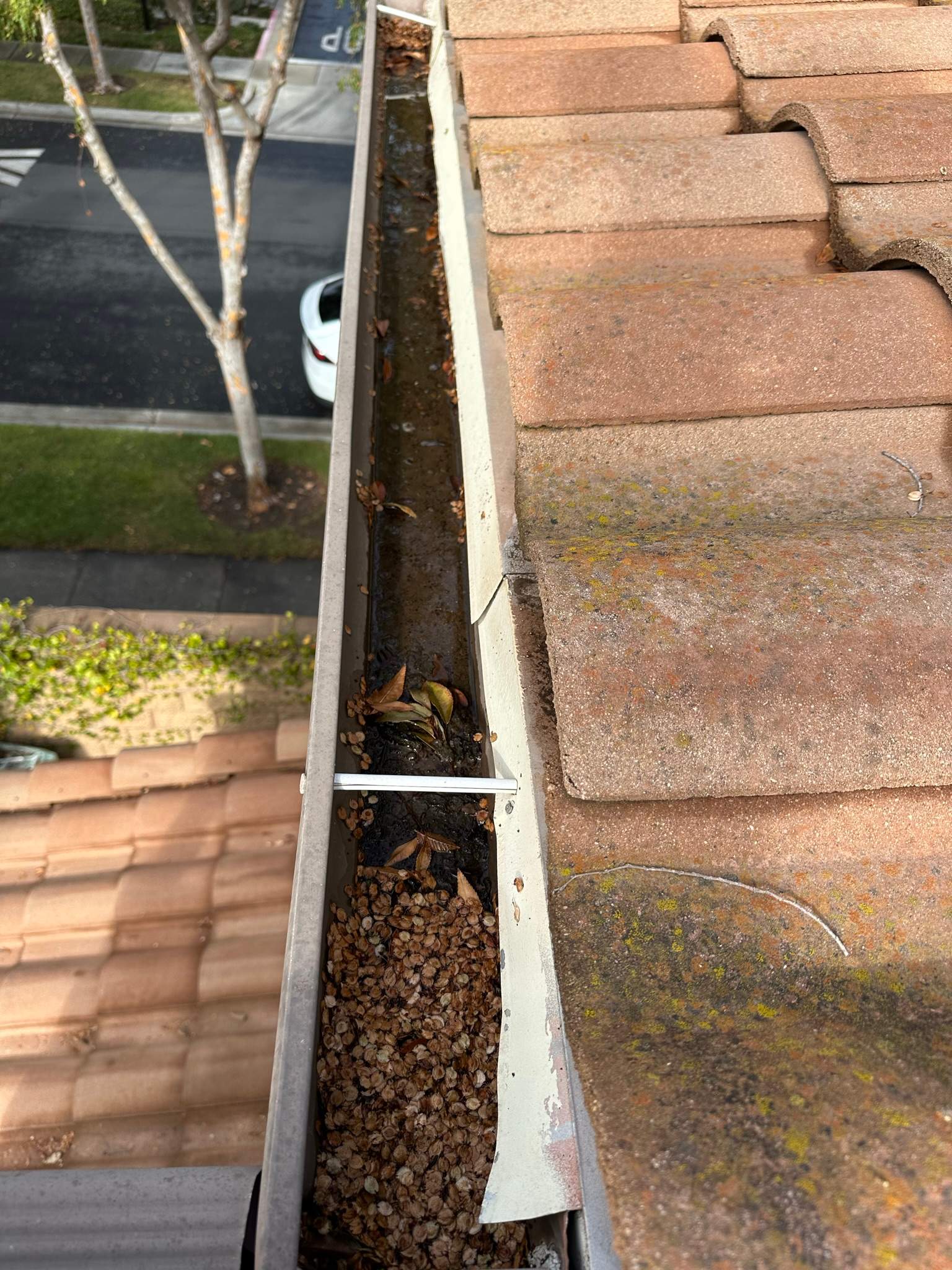 Clogged gutters at this Irvine home in Woodbury by Property Cleaning Experts, LLC