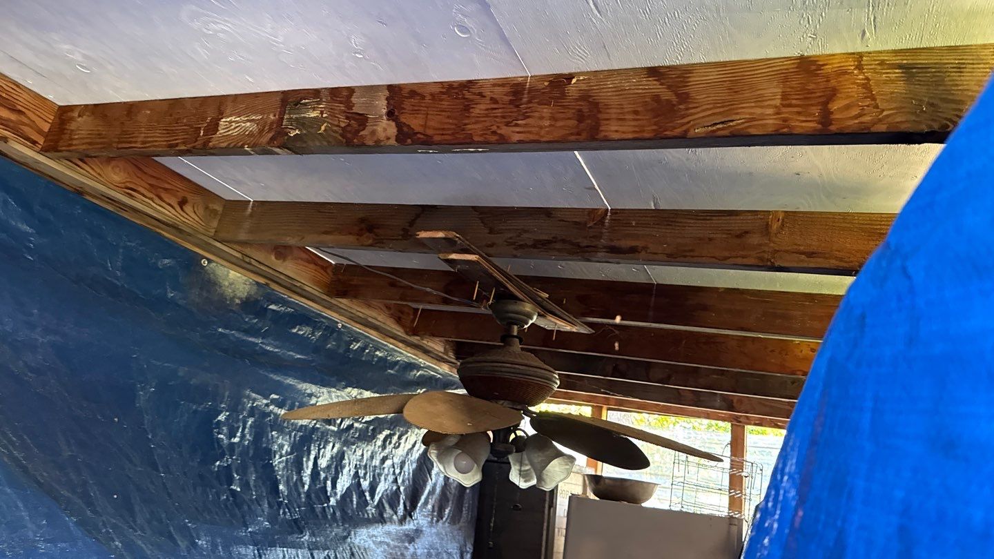 Willa Holmstock by NuLead Construction Inc