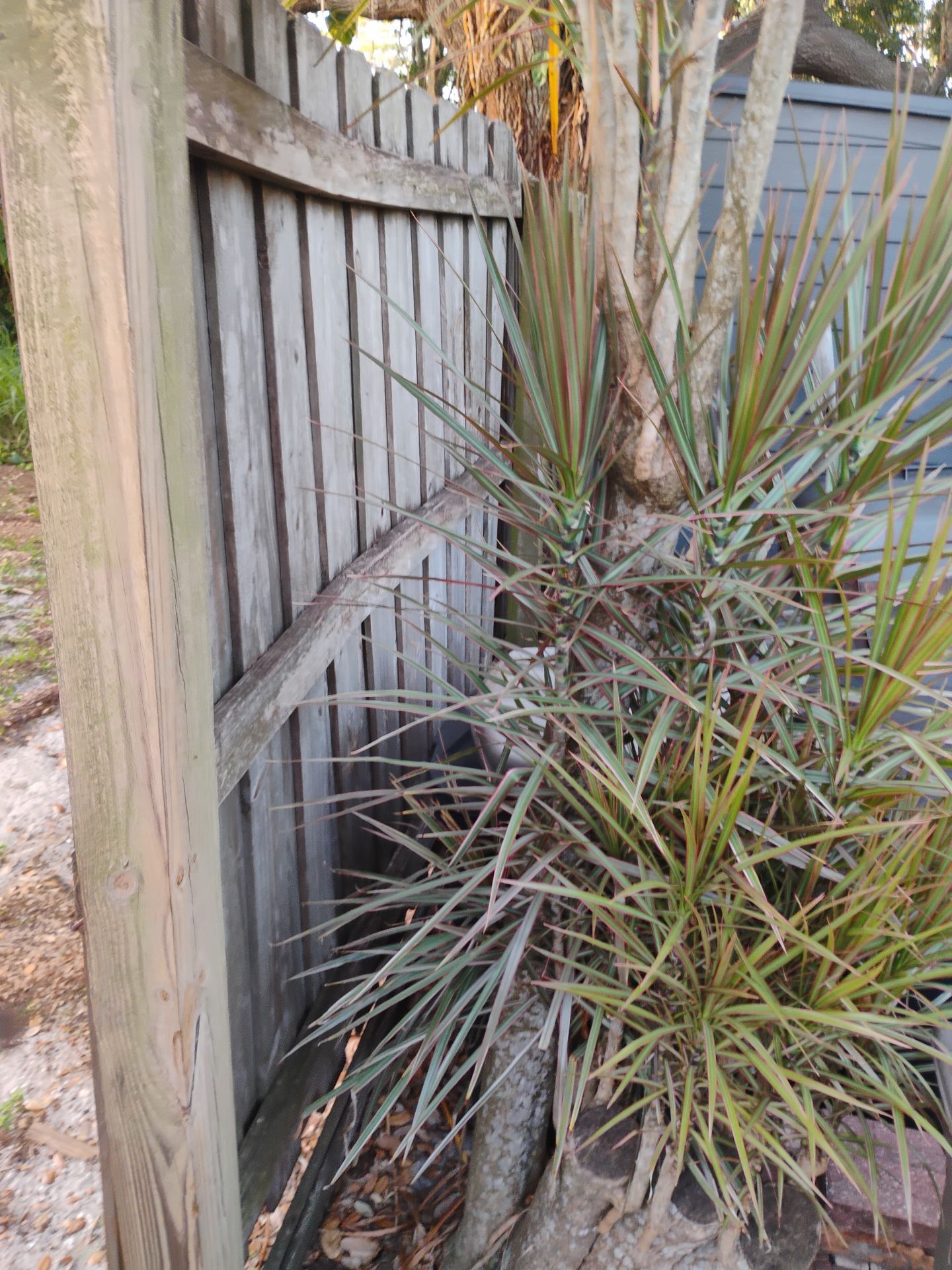 3946 Woodrow St.  by H&Y Fence
