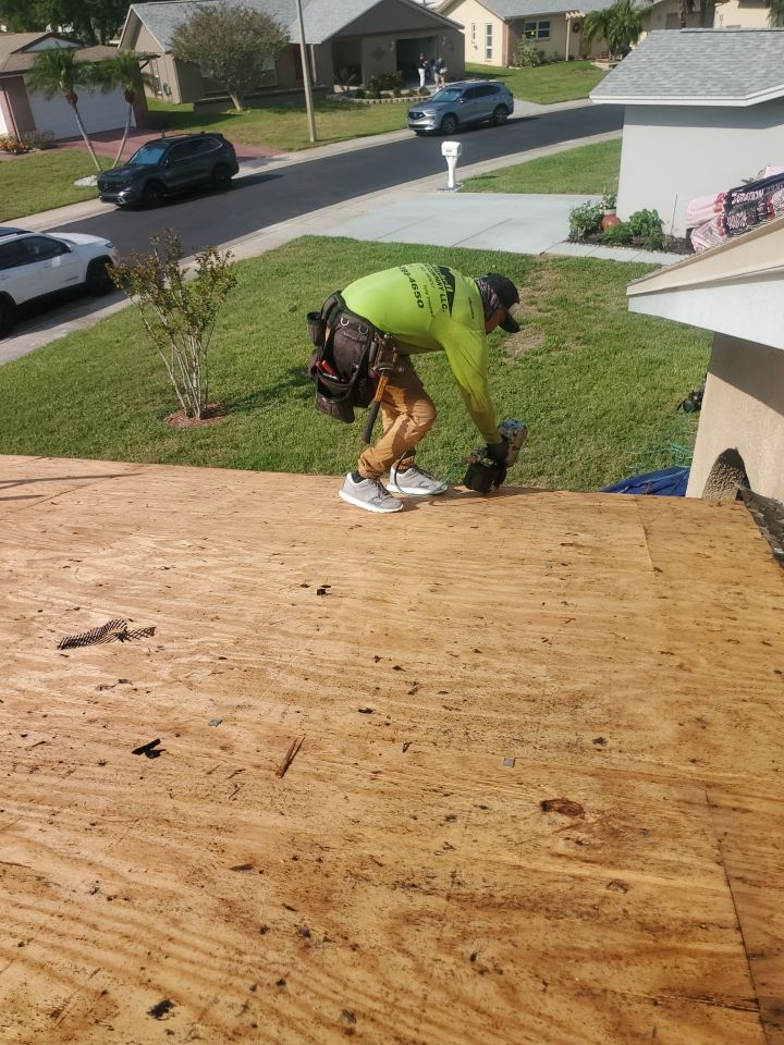 Project in Clearwater 33762 by Mitchell Roofing Company LLC