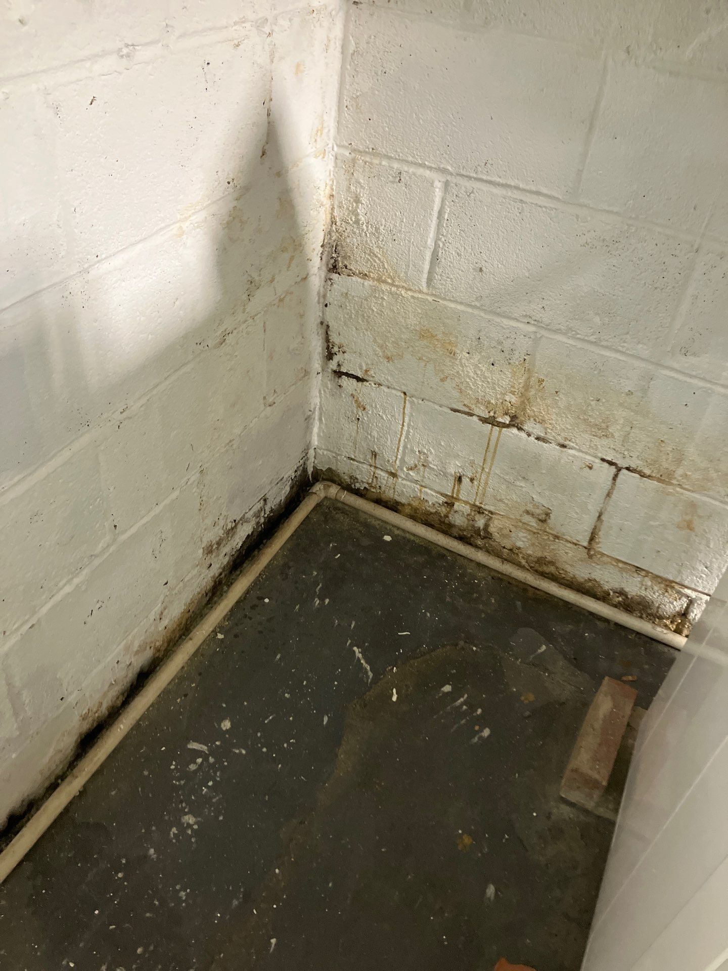 Utility Basement Mold Remediation and Sanitation Corner Case Study by Right On Time Restoration