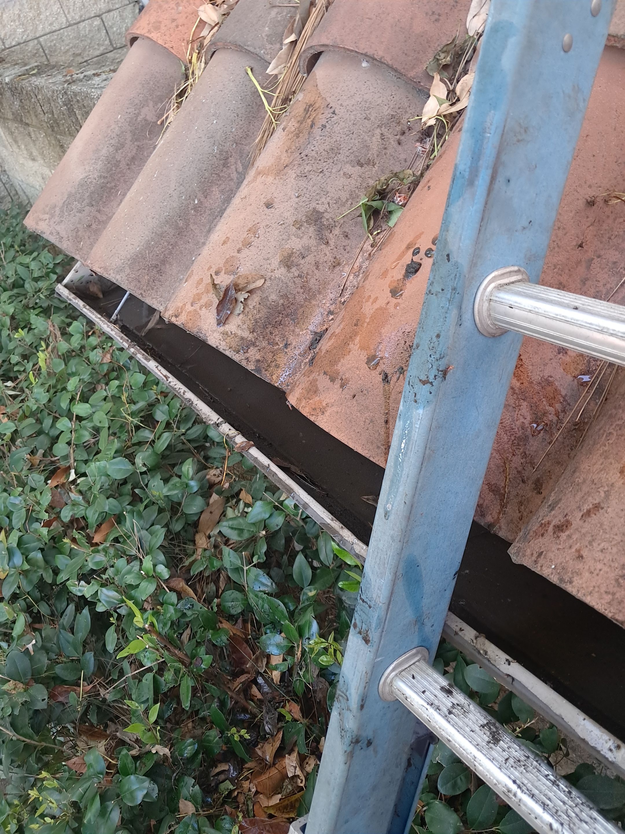 Commercial gutter cleaning Oxnard & Ventura, CA after photo with clean gutters