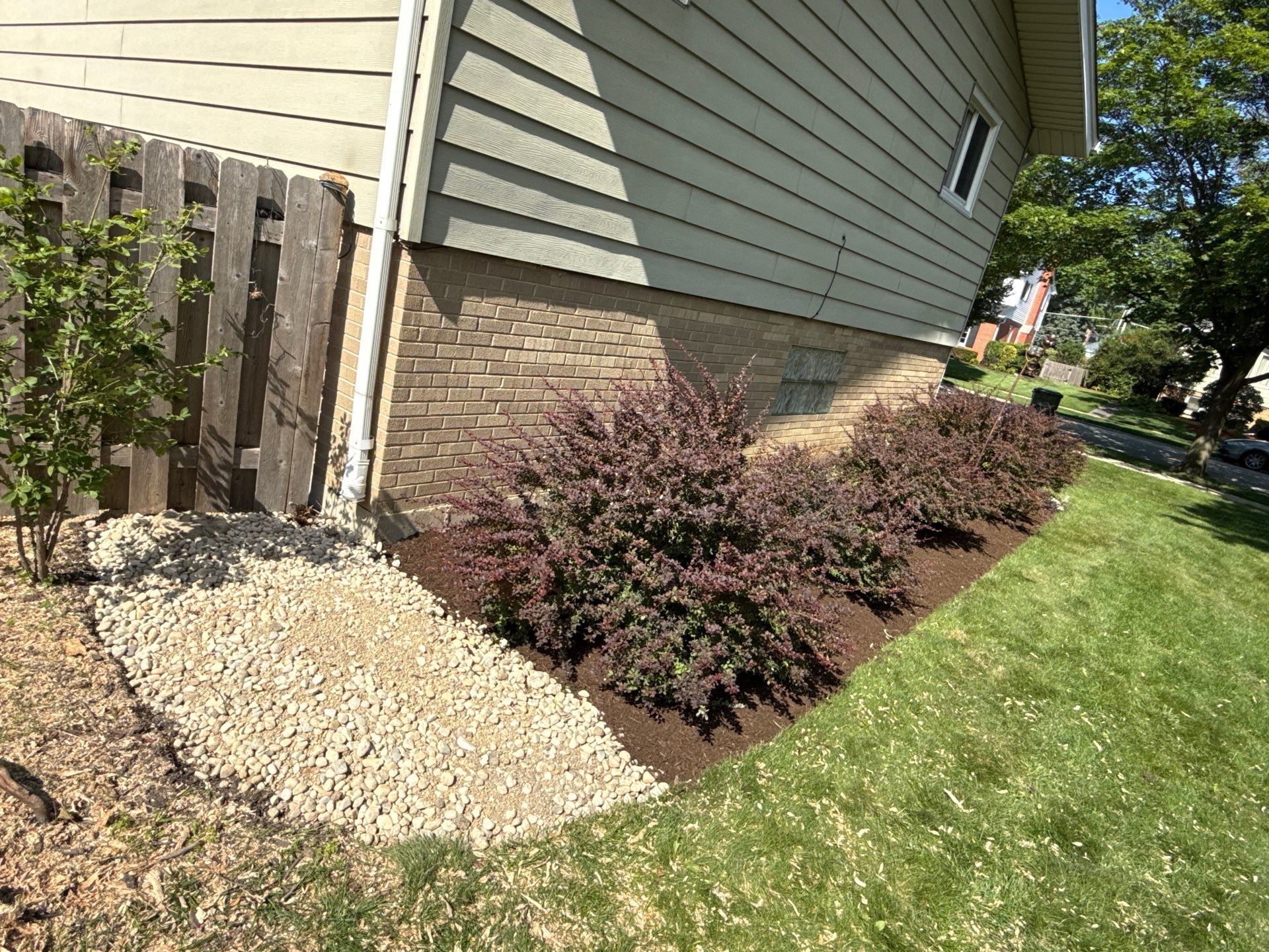 Amy N. - Arlington Heights, IL by A&N 