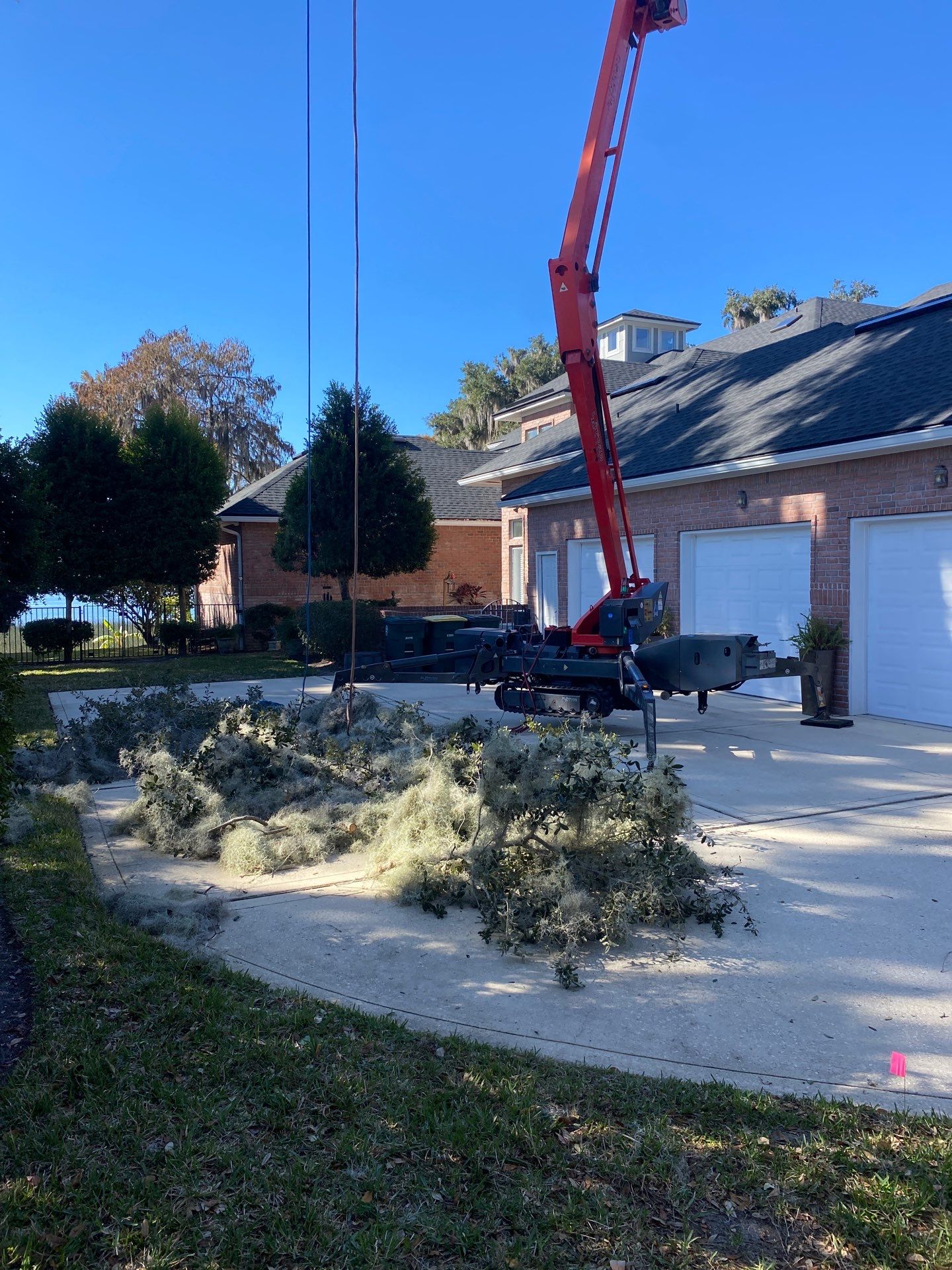 Residential | Tree Service by ProGreen Services