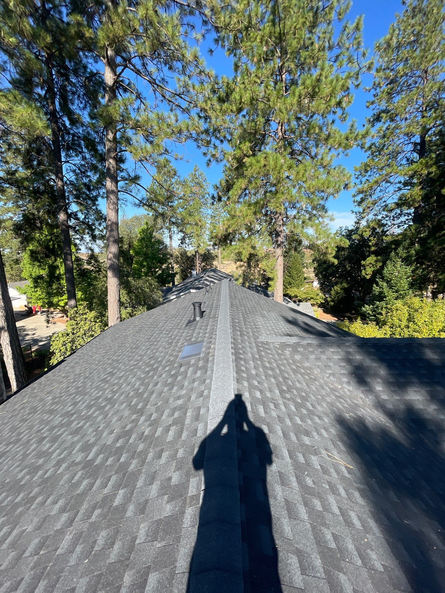 Paradise Shingle by Butte Roofing Company License #567600