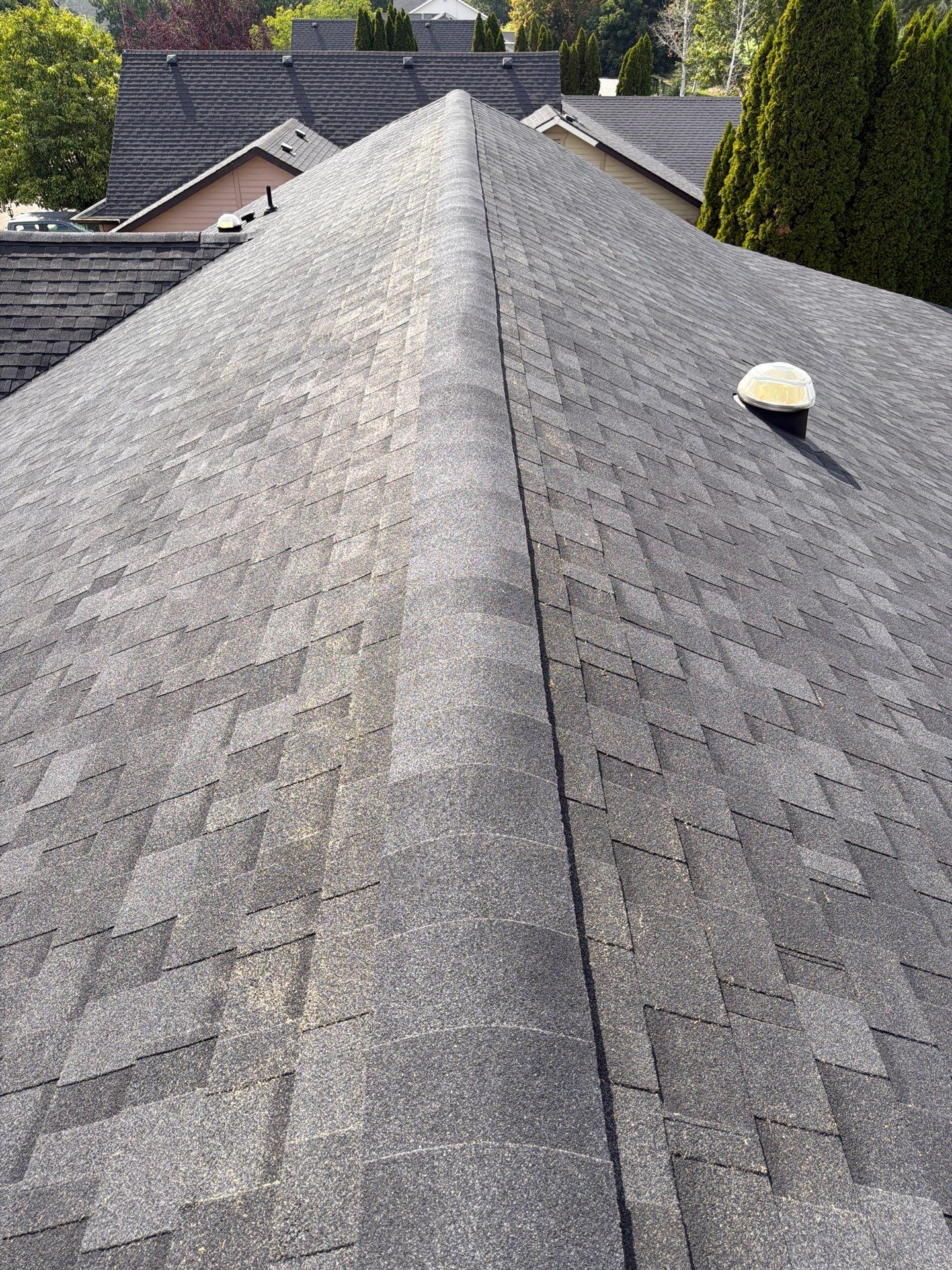 Residential Architectural Shingle Roof Replacement in Boise Idaho by Olive Roofing