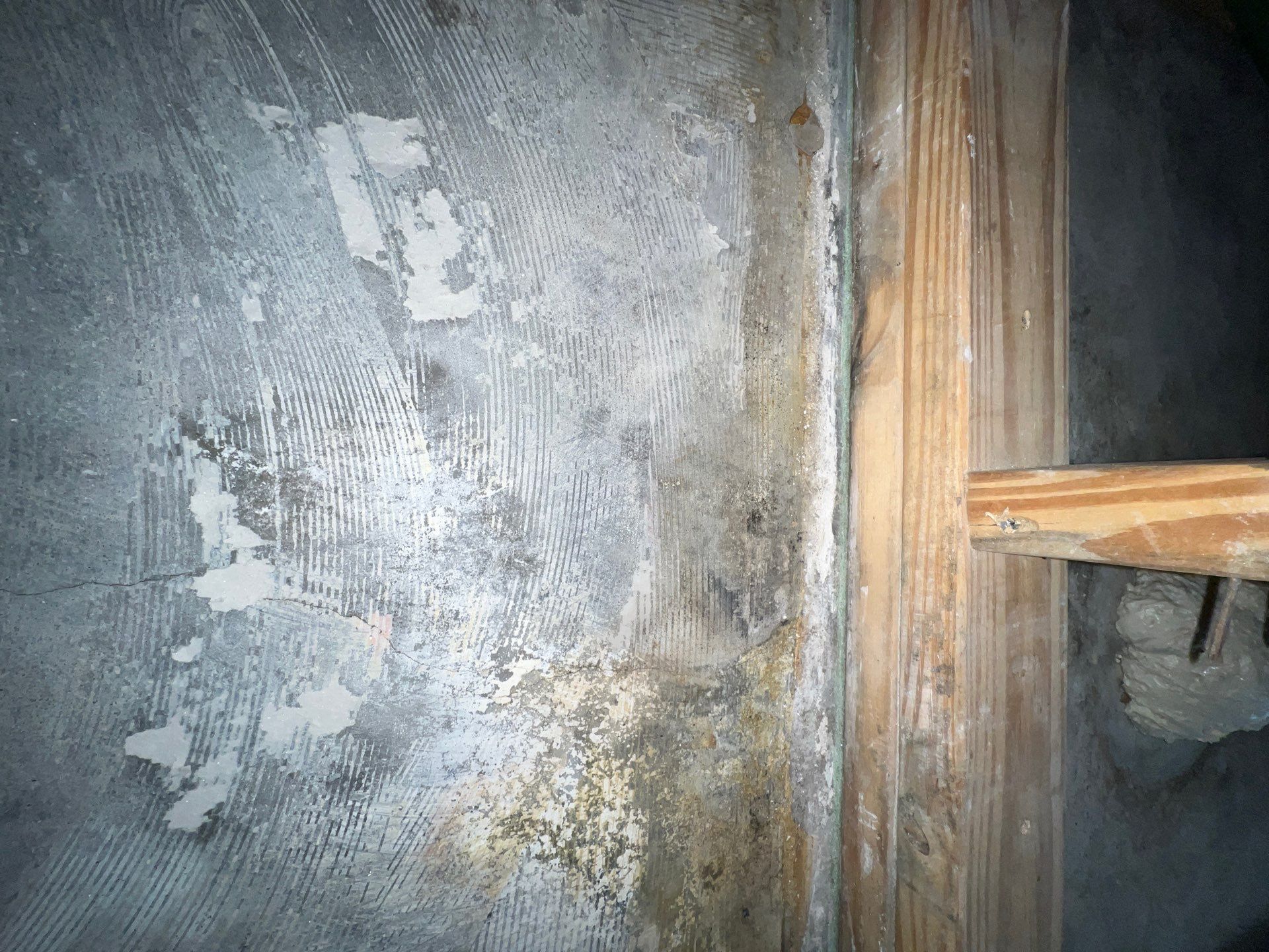 Stansell - water and mold photos  by THE RAPID TEAM
