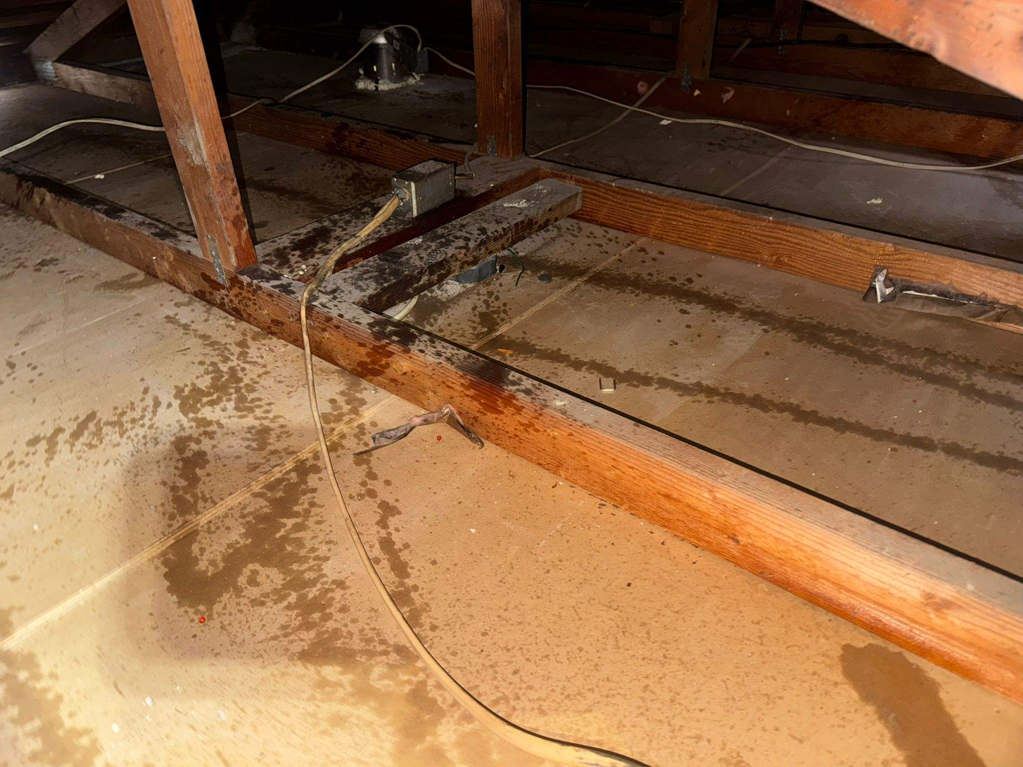 Project by Advanced Attic Solutions by Advanced Attic Solutions