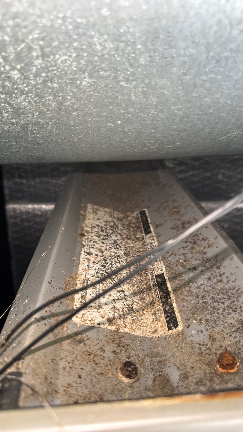 Air Duct Cleaning in St. Cloud by Hygienic Air, Inc