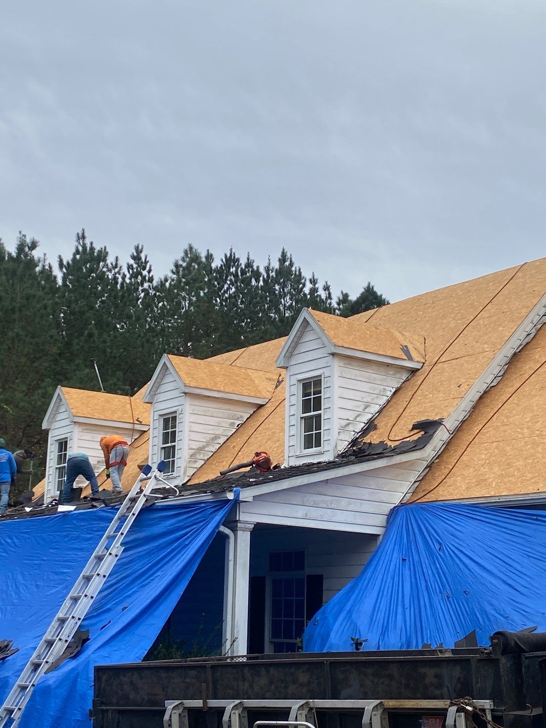 Project in Creedmoor - Certainteed Landmark Silver Birch by Pro Performance Roofing