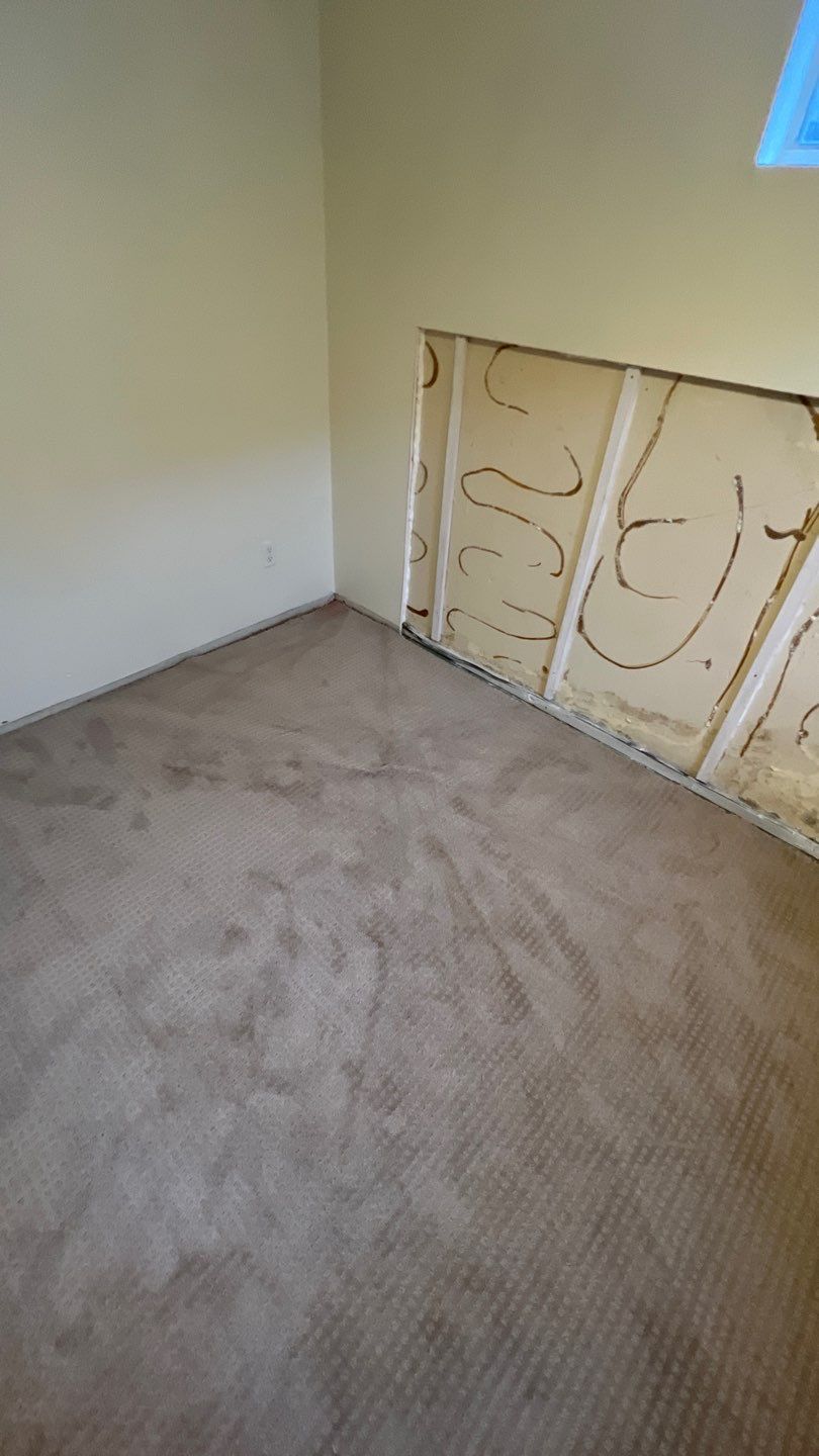 Mold Remediation by Accountable Home Services