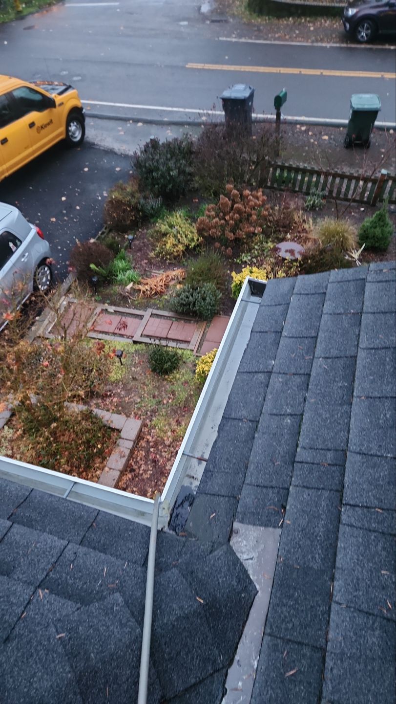 Driveway Repair using Pressure washing no chemicals by Willamette Outdoor Wash LLC