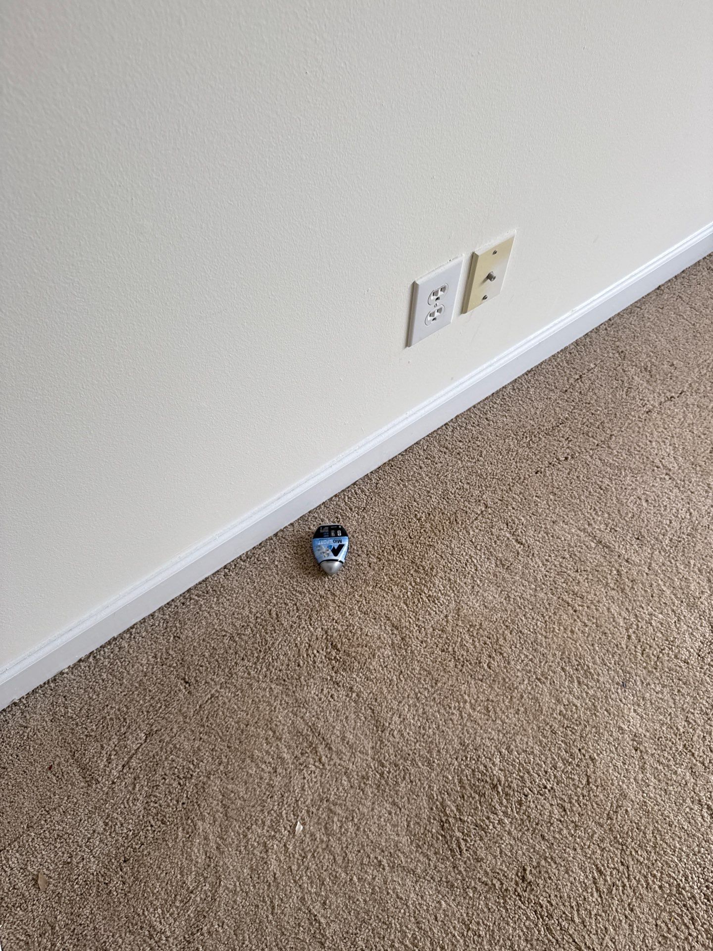 Project in Charlotte by Badger Hauling