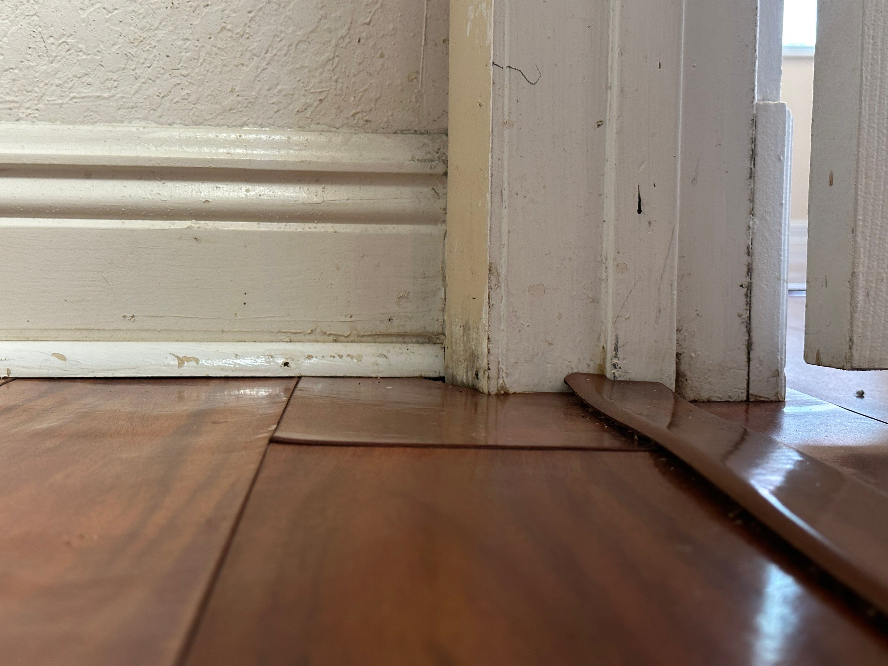 Water Damage Claim in Hollywood by FLAPA & KeyStone