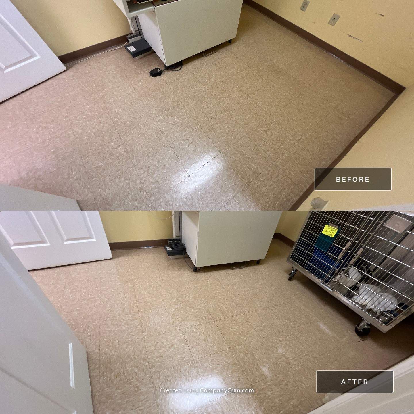 Highland Rim Animal Clinic by Mr. Mister Power Washing