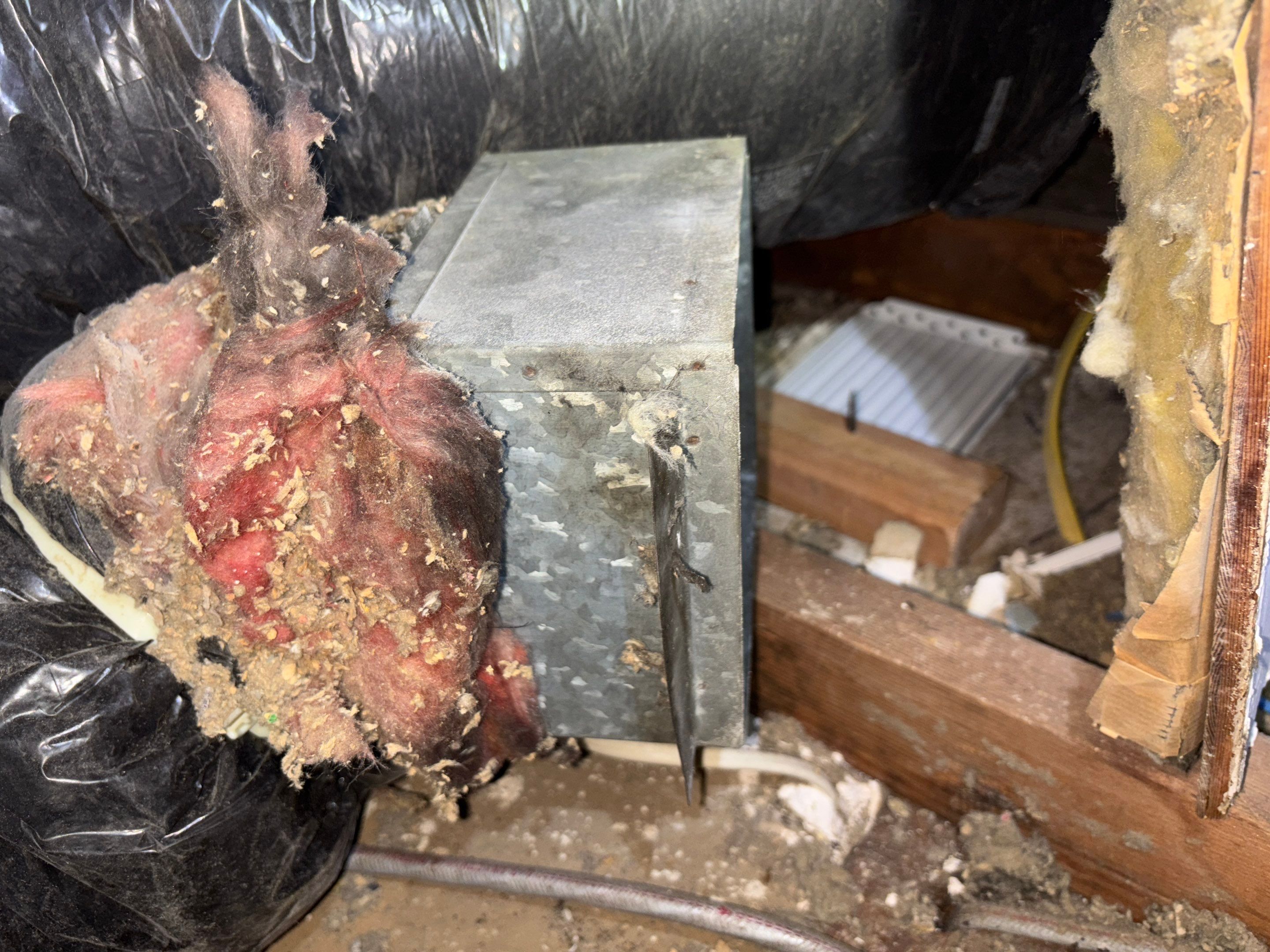 Project in Pasadena by Insulation Labs