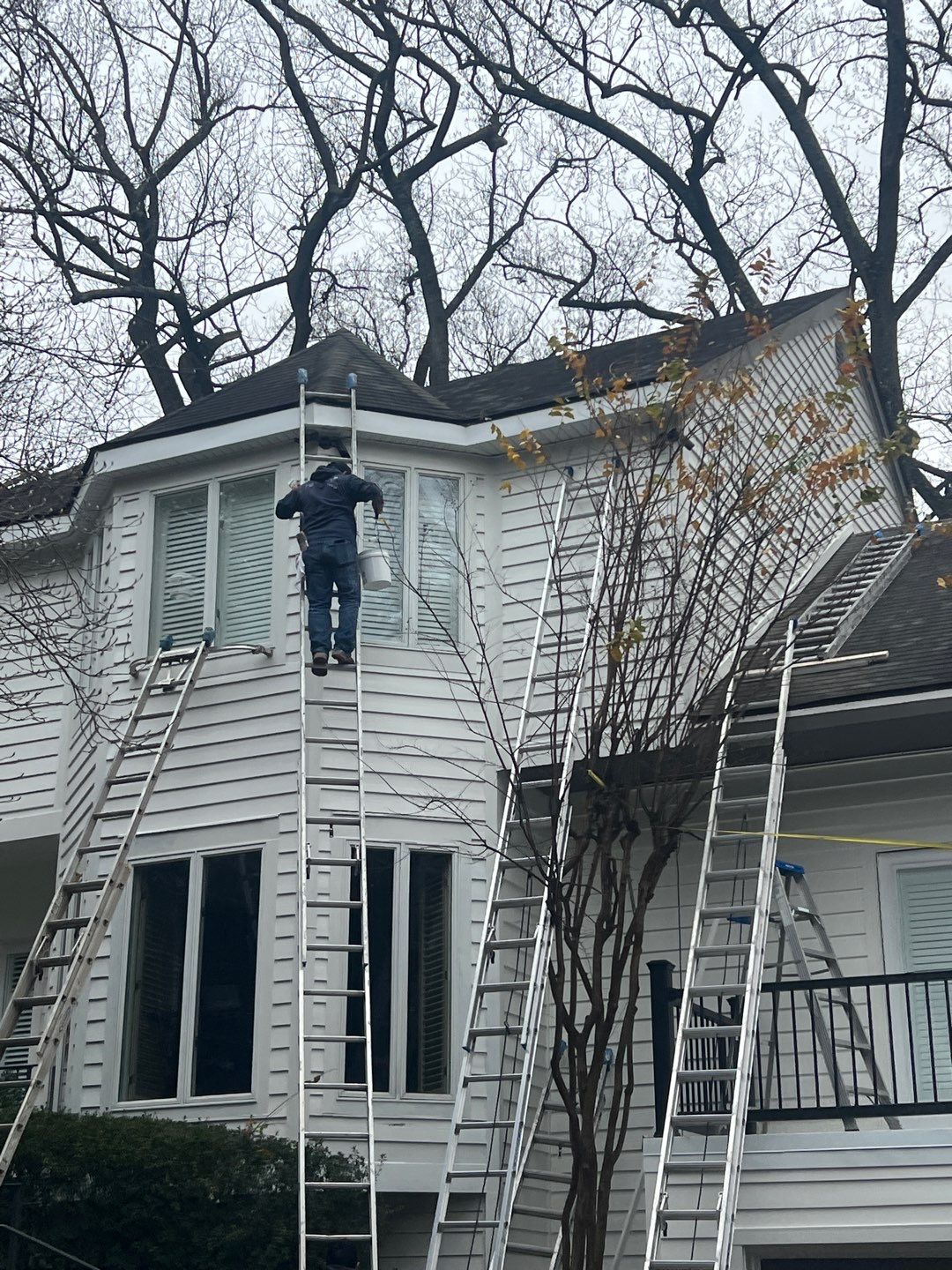 Arlington: Bevel Cedar Wood Siding Restoration by RM Banning, Inc.
