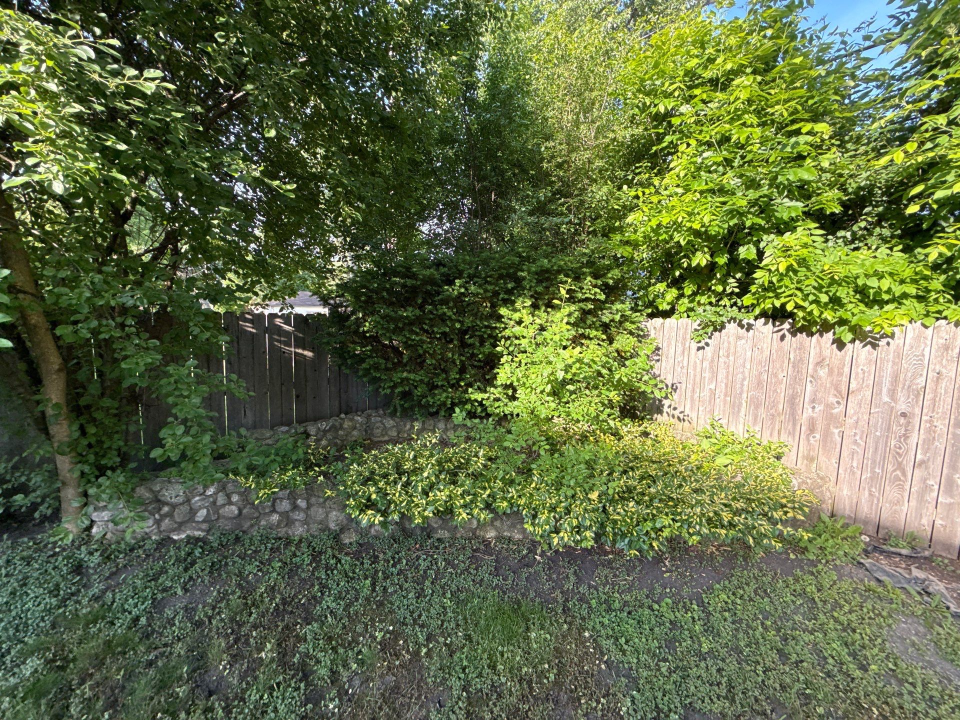 Bryan, F. - Arlington Heights, IL  by A&N 
