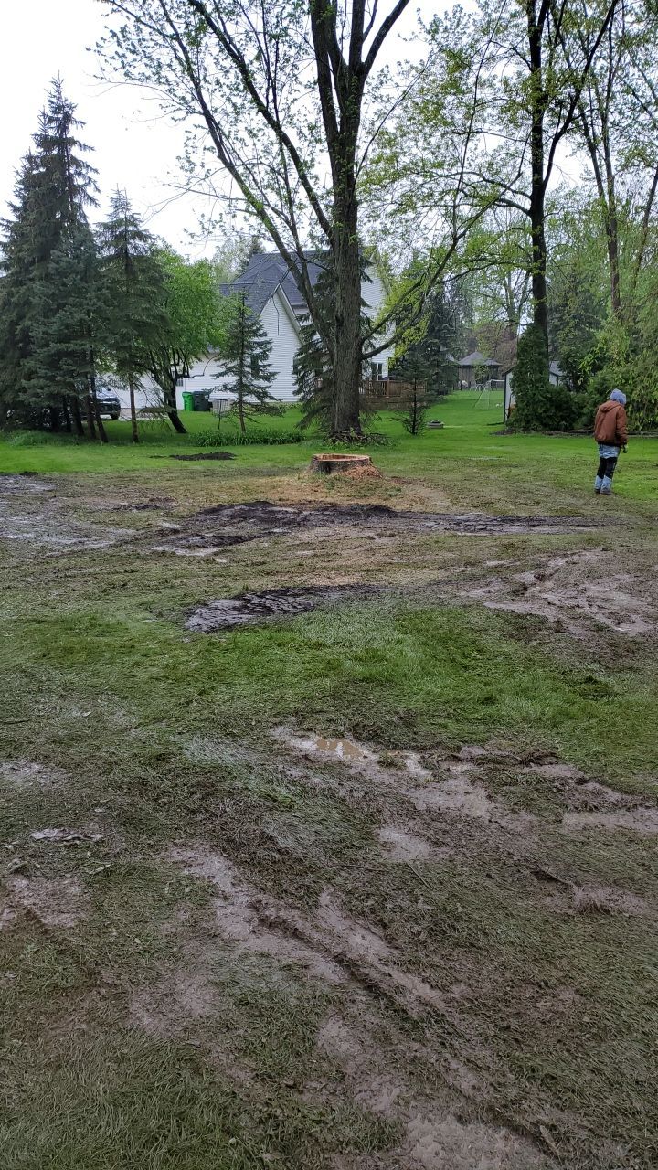 Tree Removal using Tree Removal by Mike Jones & Sons Tree Service LLC 