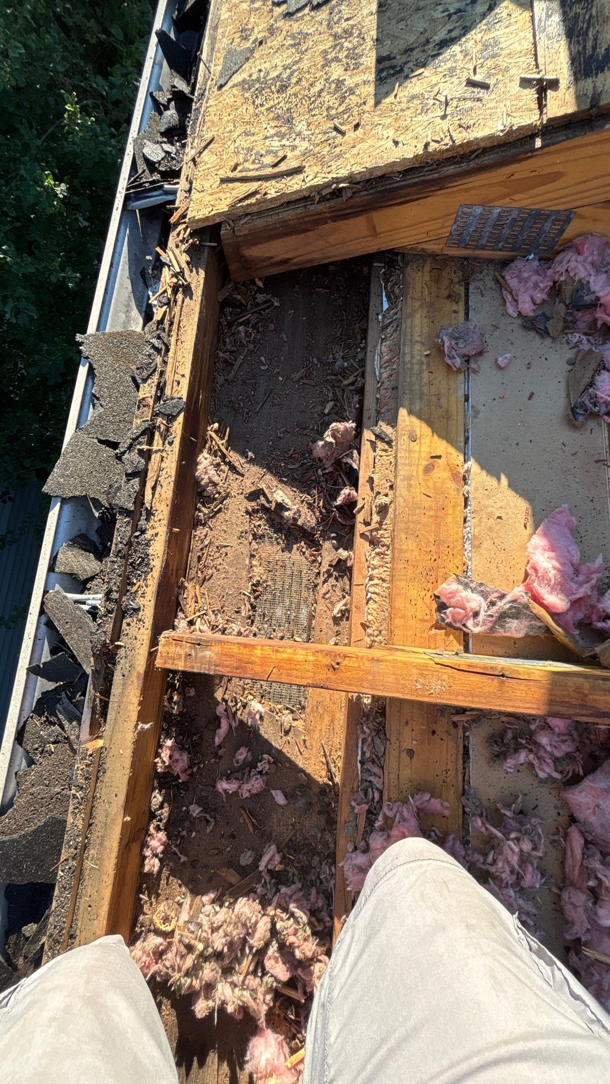 Roof Replacement using Owens Corning Brownwood by 180 Contractors
