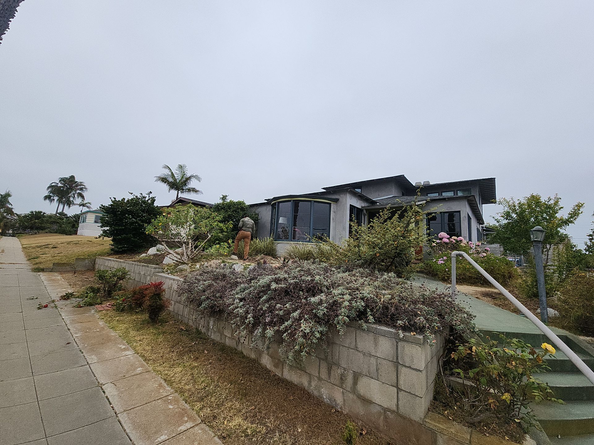 San Diego Landscape Clean Up by Yard Techs