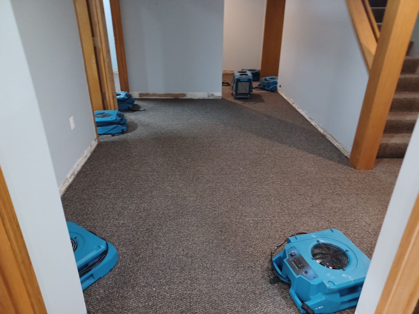 Project in Ann Arbor by EzDry Water Mitigation & Property Restoration