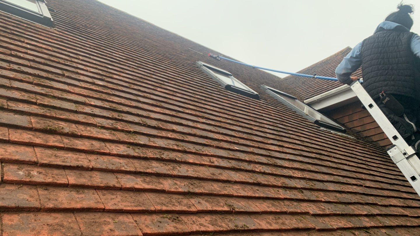 Moss removal and biocide treatment using Moss Scraper Blades by Ges Exterior Cleaning ltd