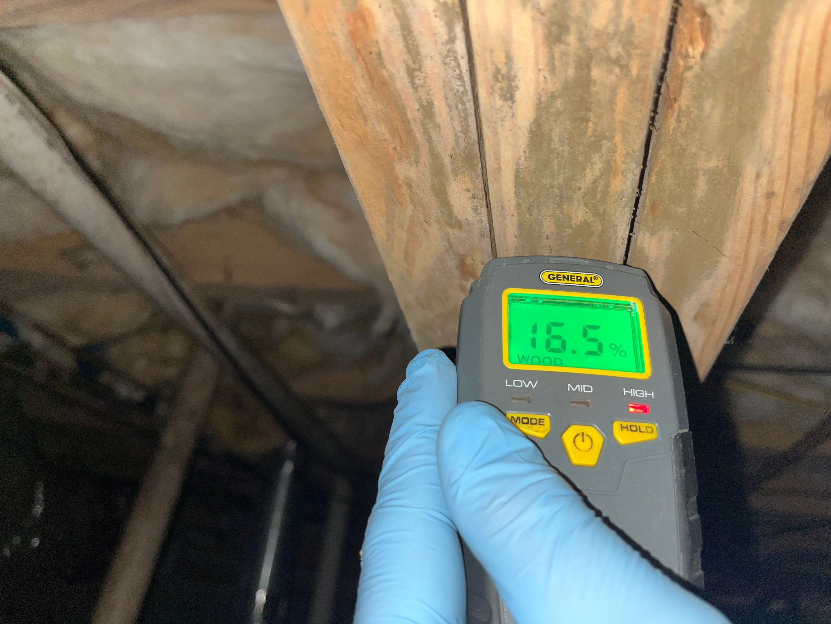 Impact Choice Encapsulation with French Drain, Mold Removal, and Crawlspace Door by Impact Crawlspace