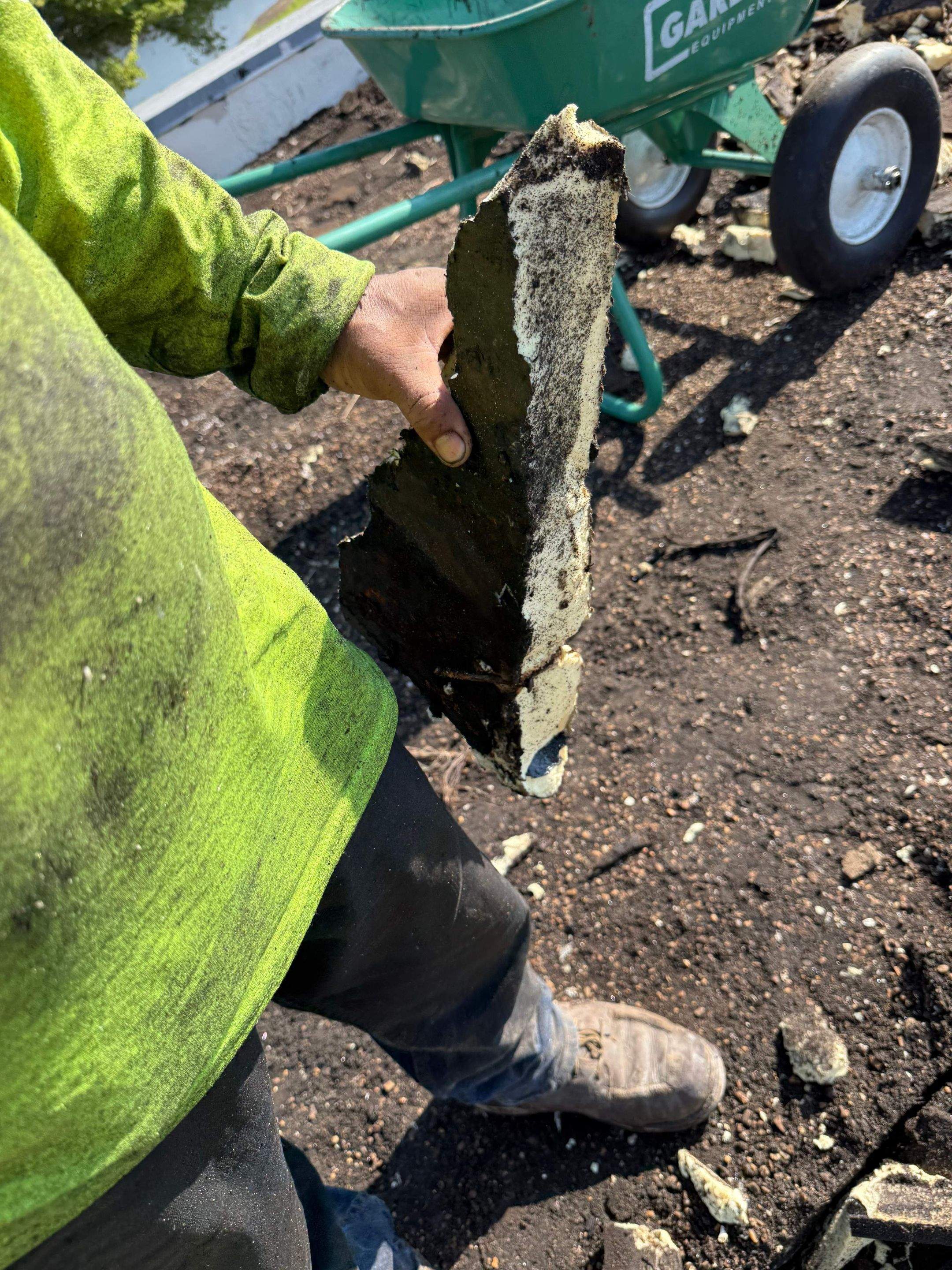 Project in Memphis by FILLMORE CONTRACTS LLC