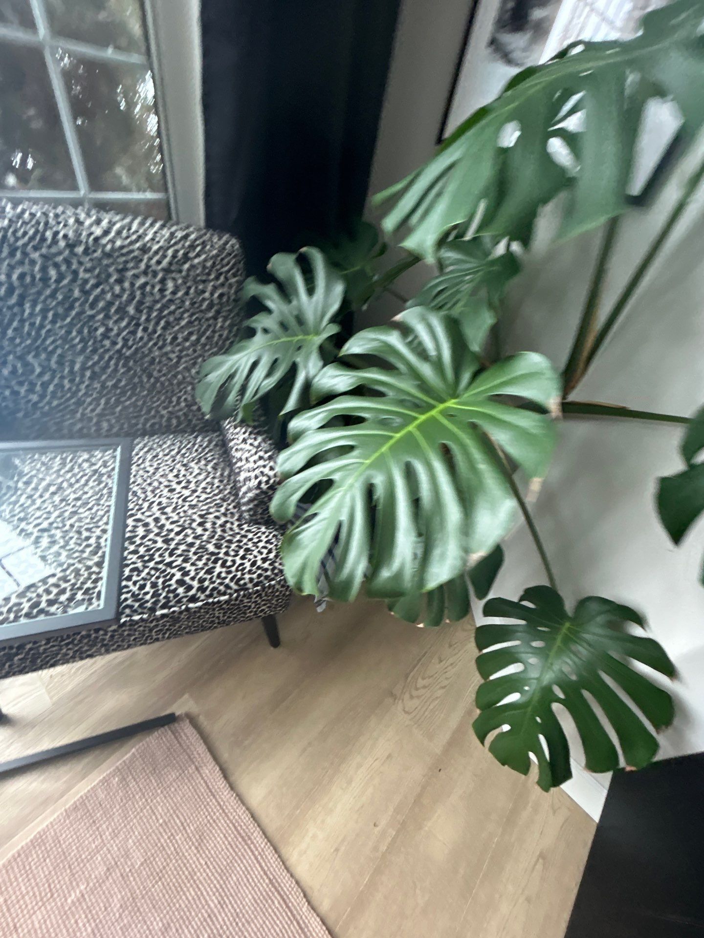 Residential Deep Clean  by Tidyups Cleaning Service Inc