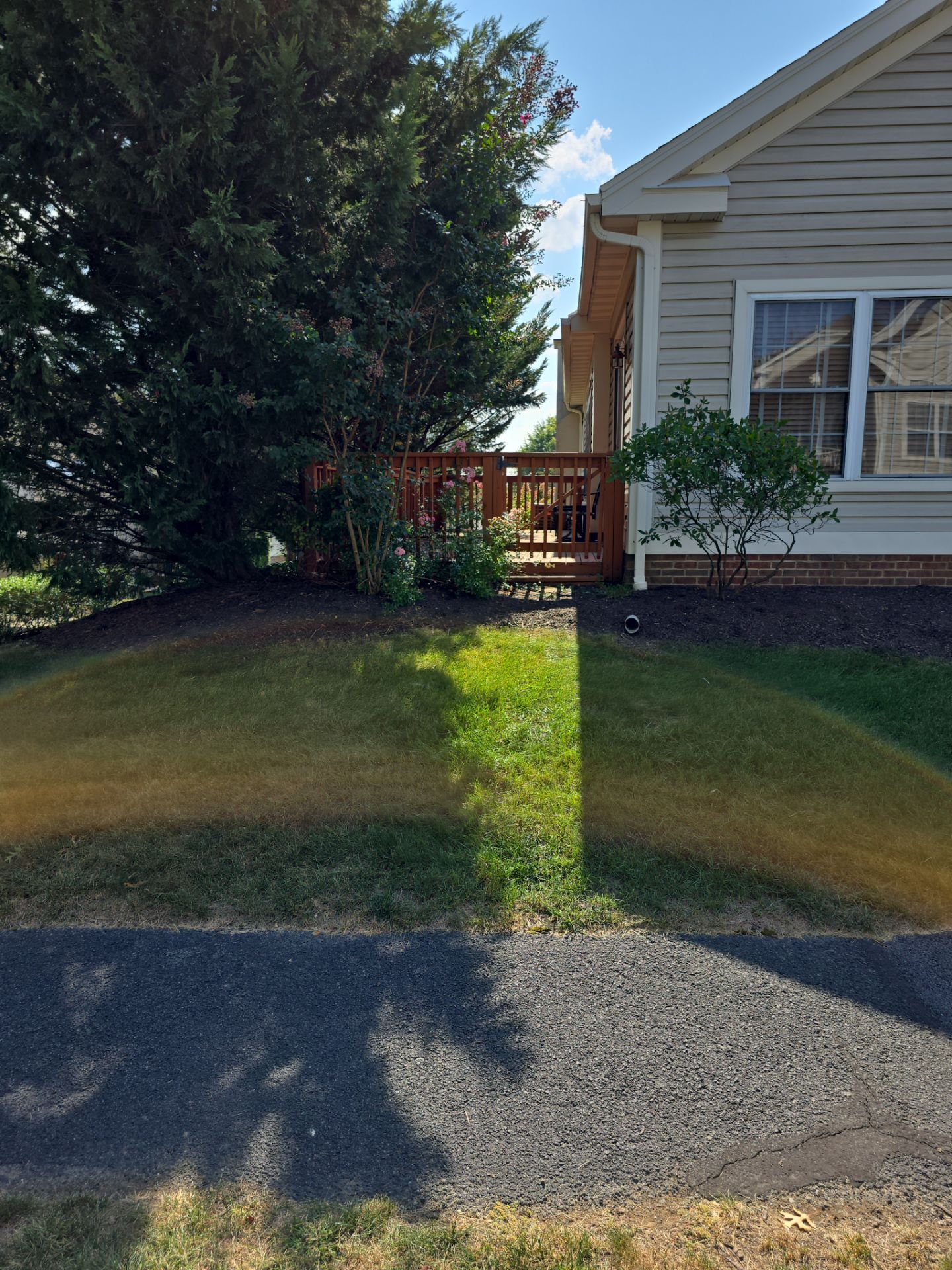 New Deck Build in Oak Hill by Wyomissing Construction LLC 