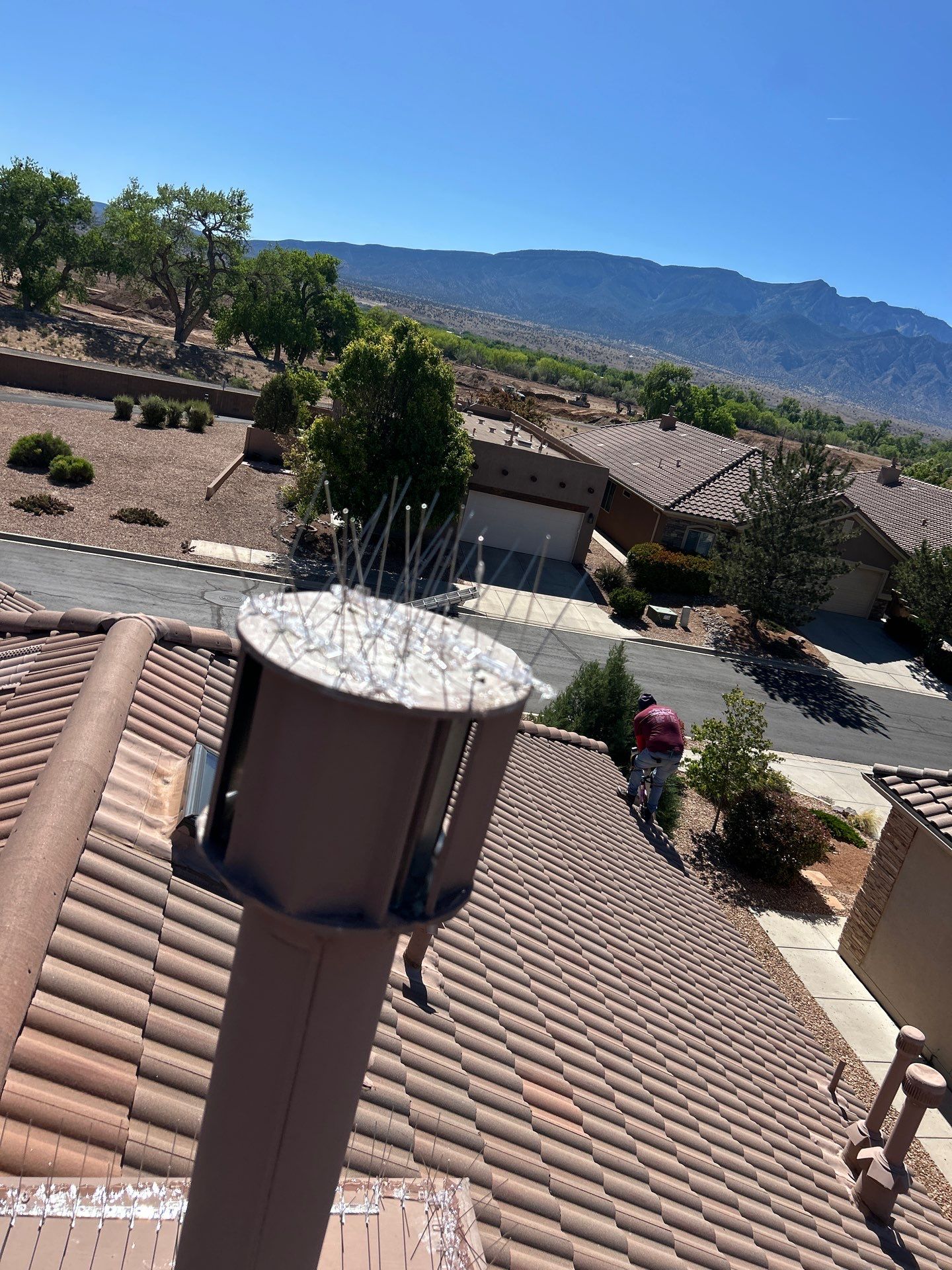 Bird Deterrent Installation in Bernalillo on concrete tile roof. by Doyle Roof Masters Inc