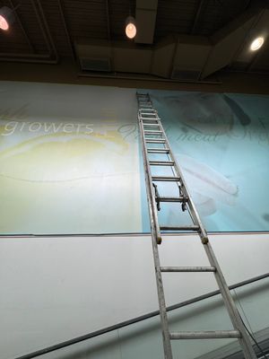 Commercial Prime & Paint Project-30ft height