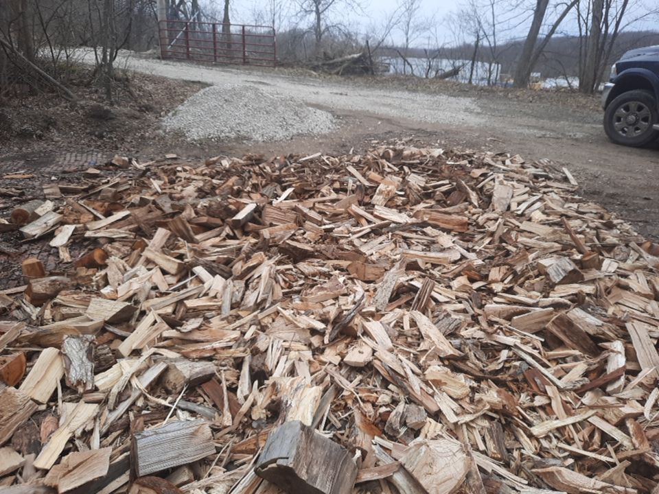 Tree Removal using Tree Removal by Mike Jones & Sons Tree Service LLC 