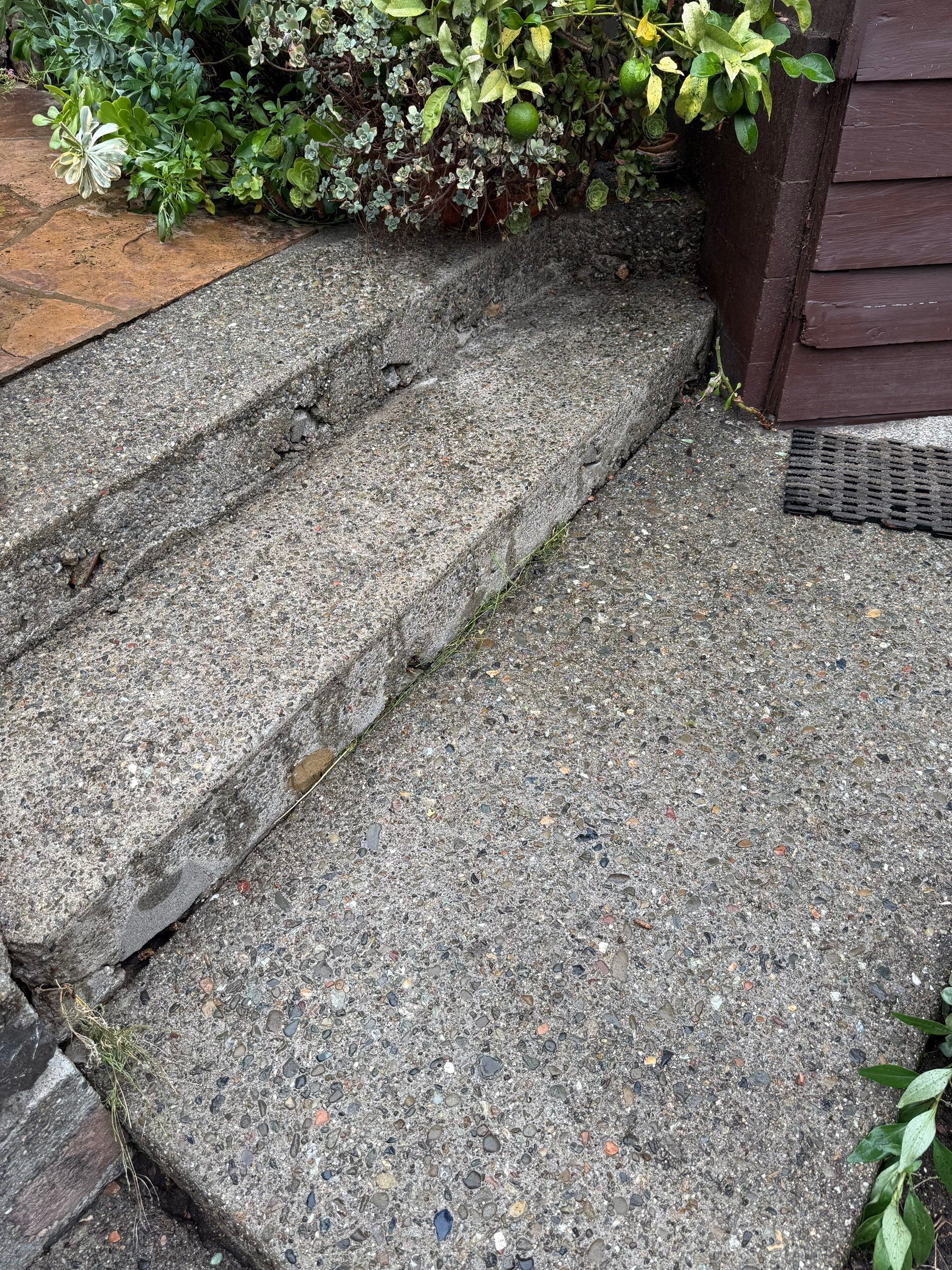 Full back garden refresh by SpotFree Window Cleaning