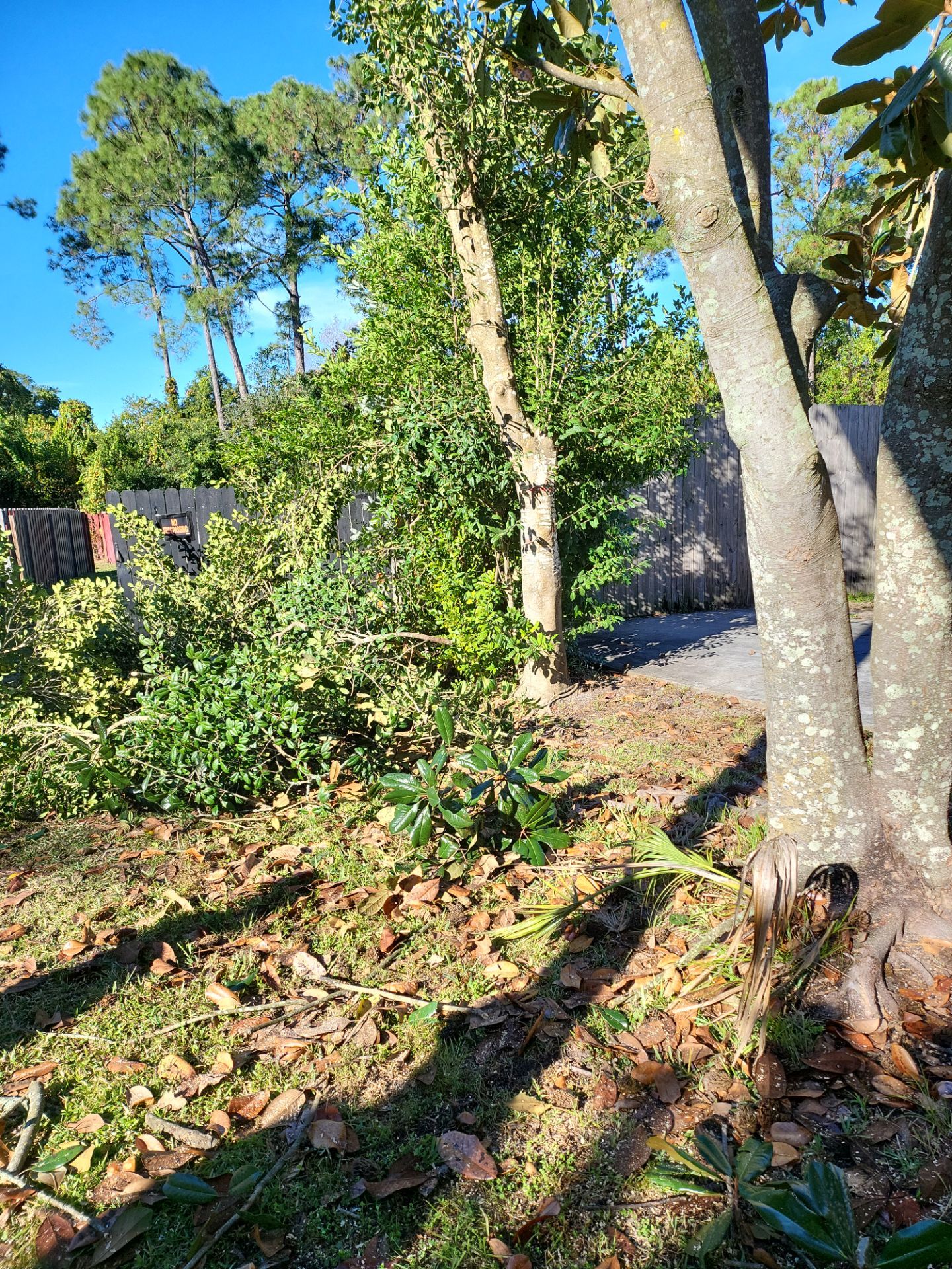 8' PRIVACY WOOD WITH 2 3/8 POUNDED POST  by Hip Square Fence Inc.