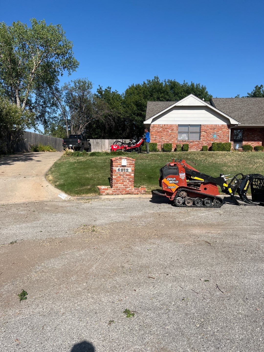 Tree Removals by Clays Services Inc