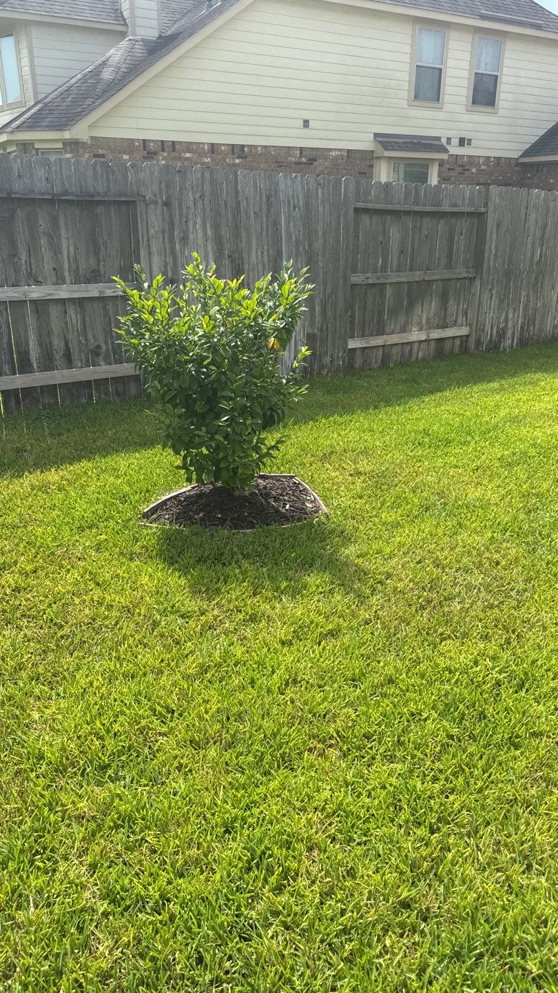 🌿 Mr. Ken’s Front Yard Flower Bed Enhancement by Texas Urban Elements