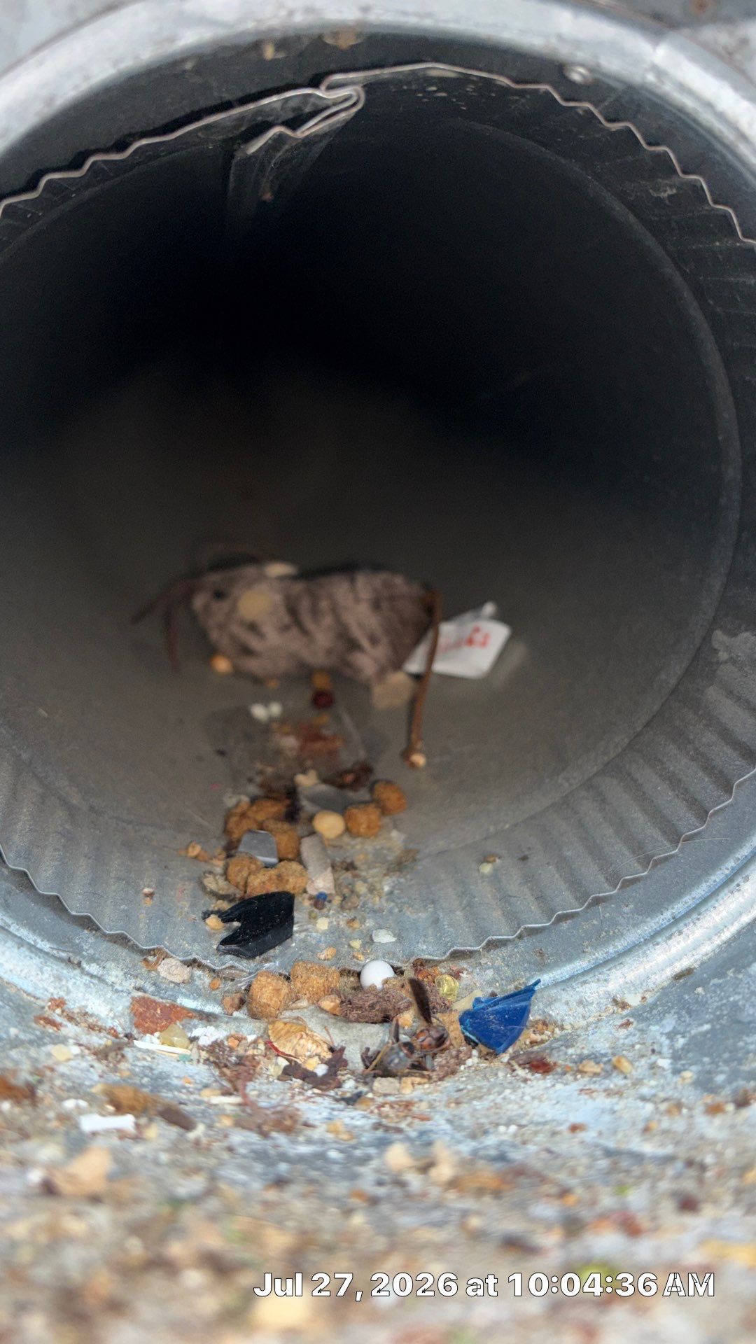 Residential Air Duct and HVAC System Cleaning in Gibsonia, PA by Superior Air Duct Cleaning