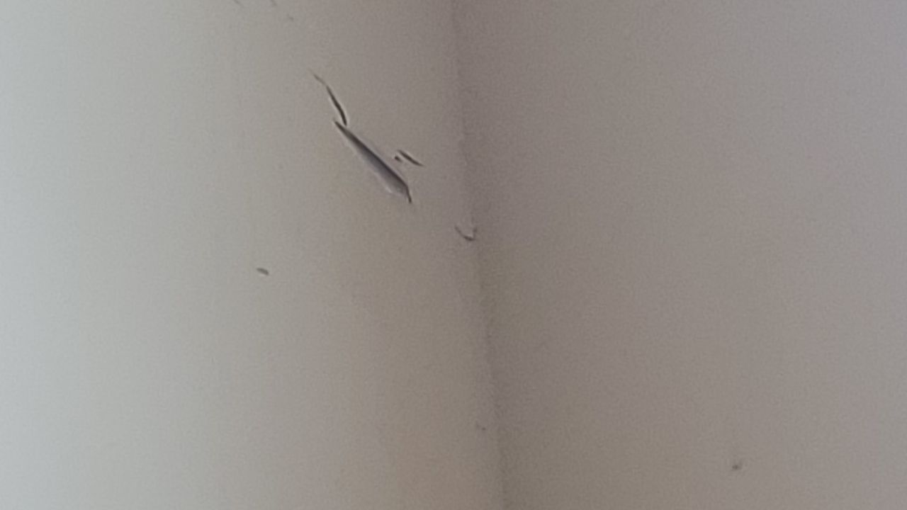 Residential Roofing Installation using Owens Corning by Inspector Roofing and Restoration