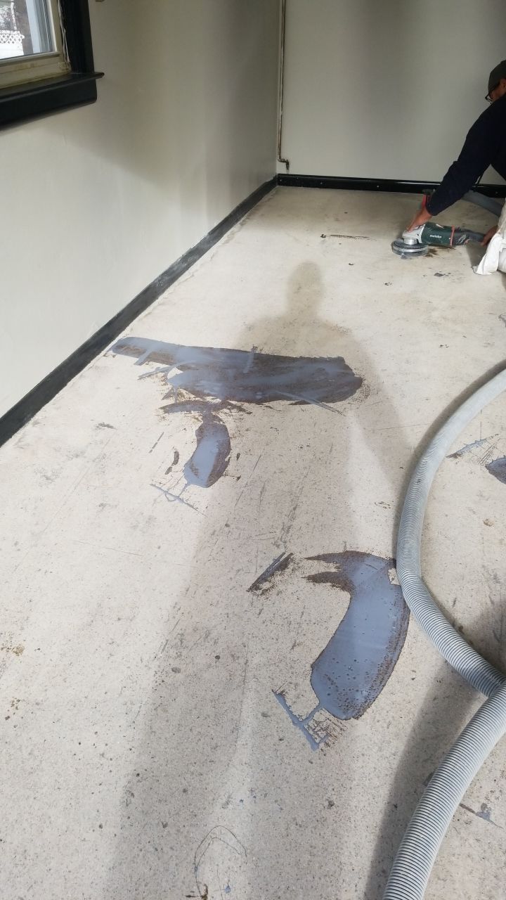 Installers have Feline supervision by Spectrum Painting, LLC